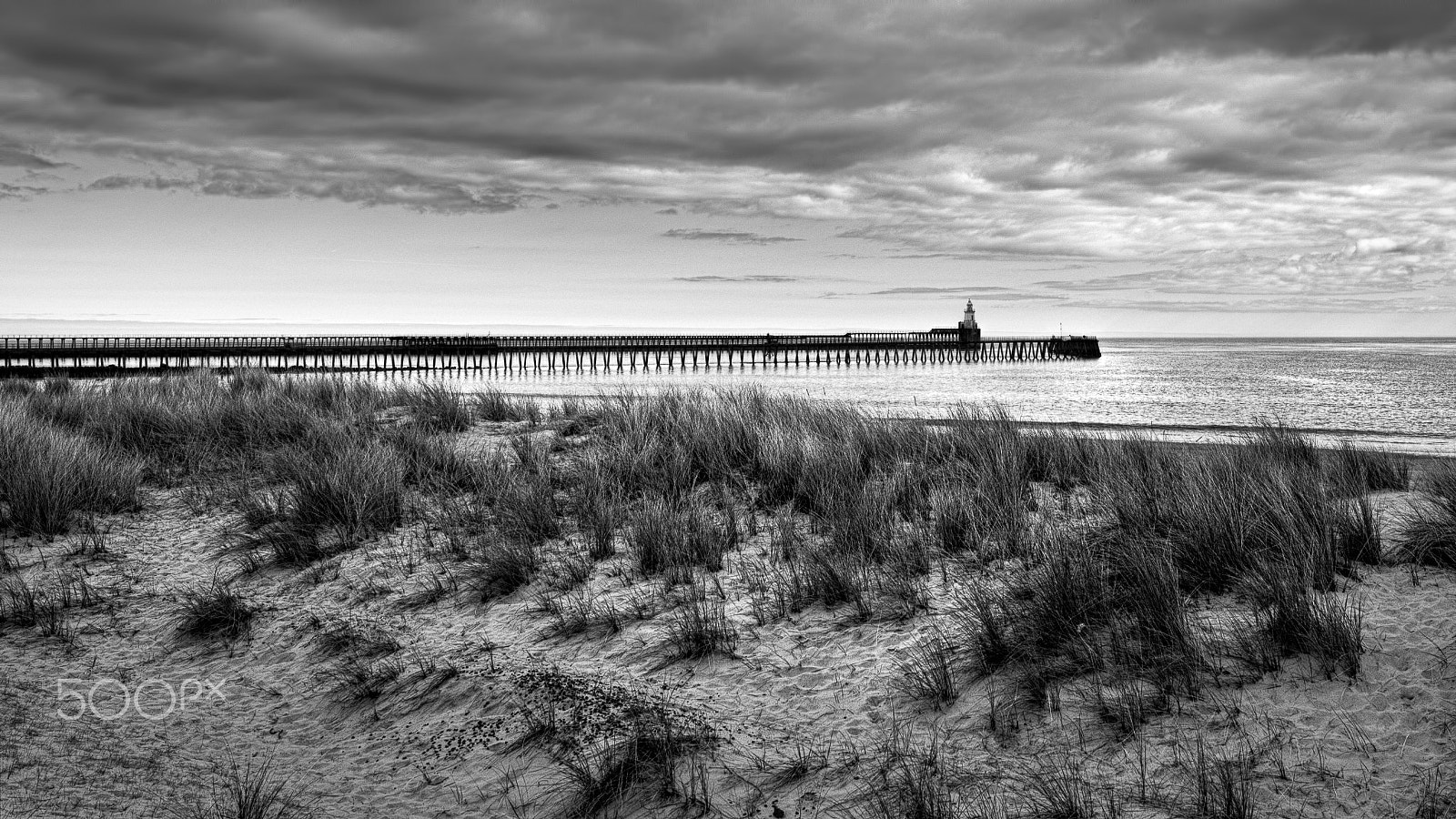Canon TS-E 24.0mm f/3.5 L II sample photo. Beach sunset photography