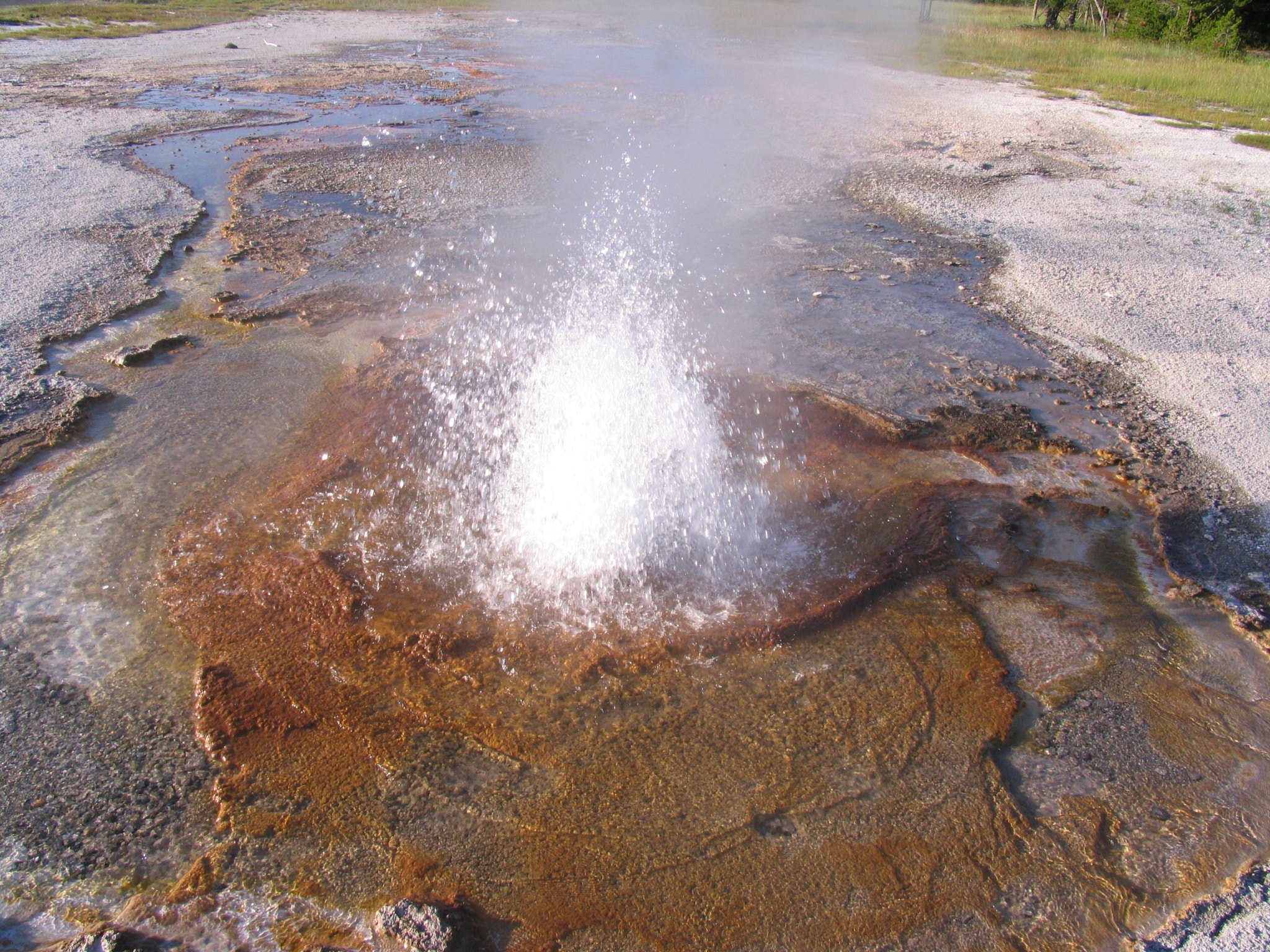 Canon POWERSHOT PRO1 sample photo. Yellowstone national park photography