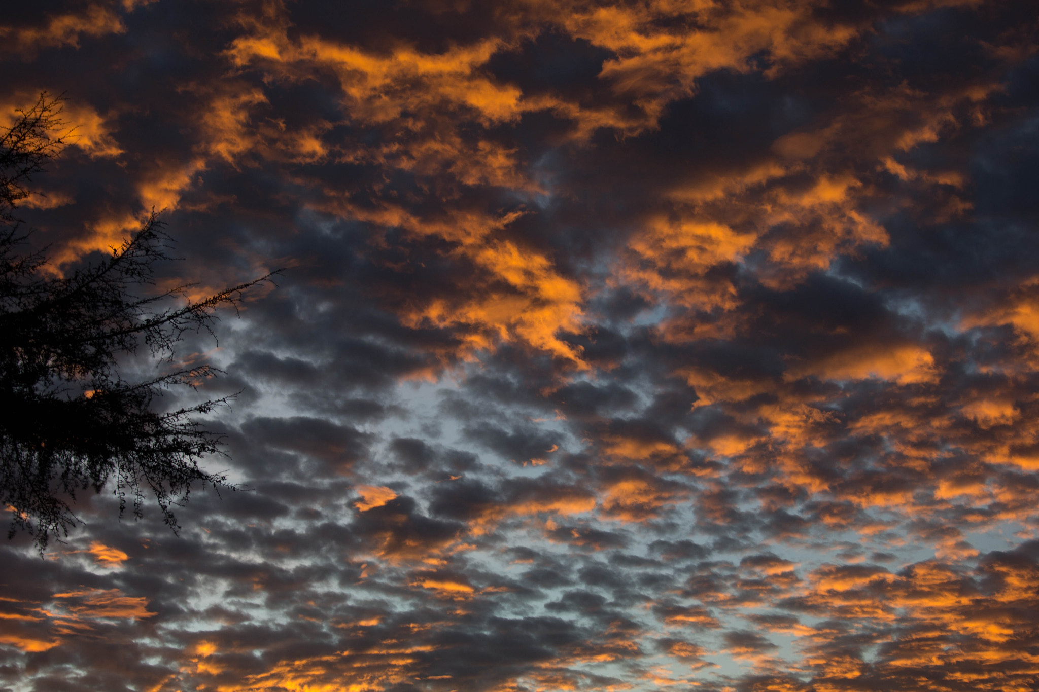 Canon EF-S 18-55mm F3.5-5.6 sample photo. Providencia photography