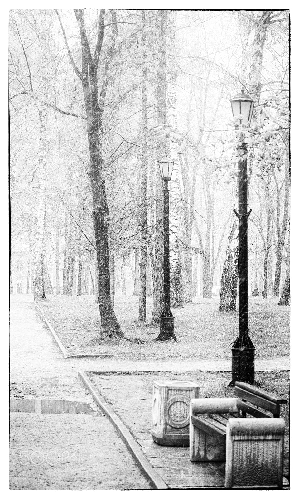 Canon EF-S 55-250mm F4-5.6 IS STM sample photo. May snow photography