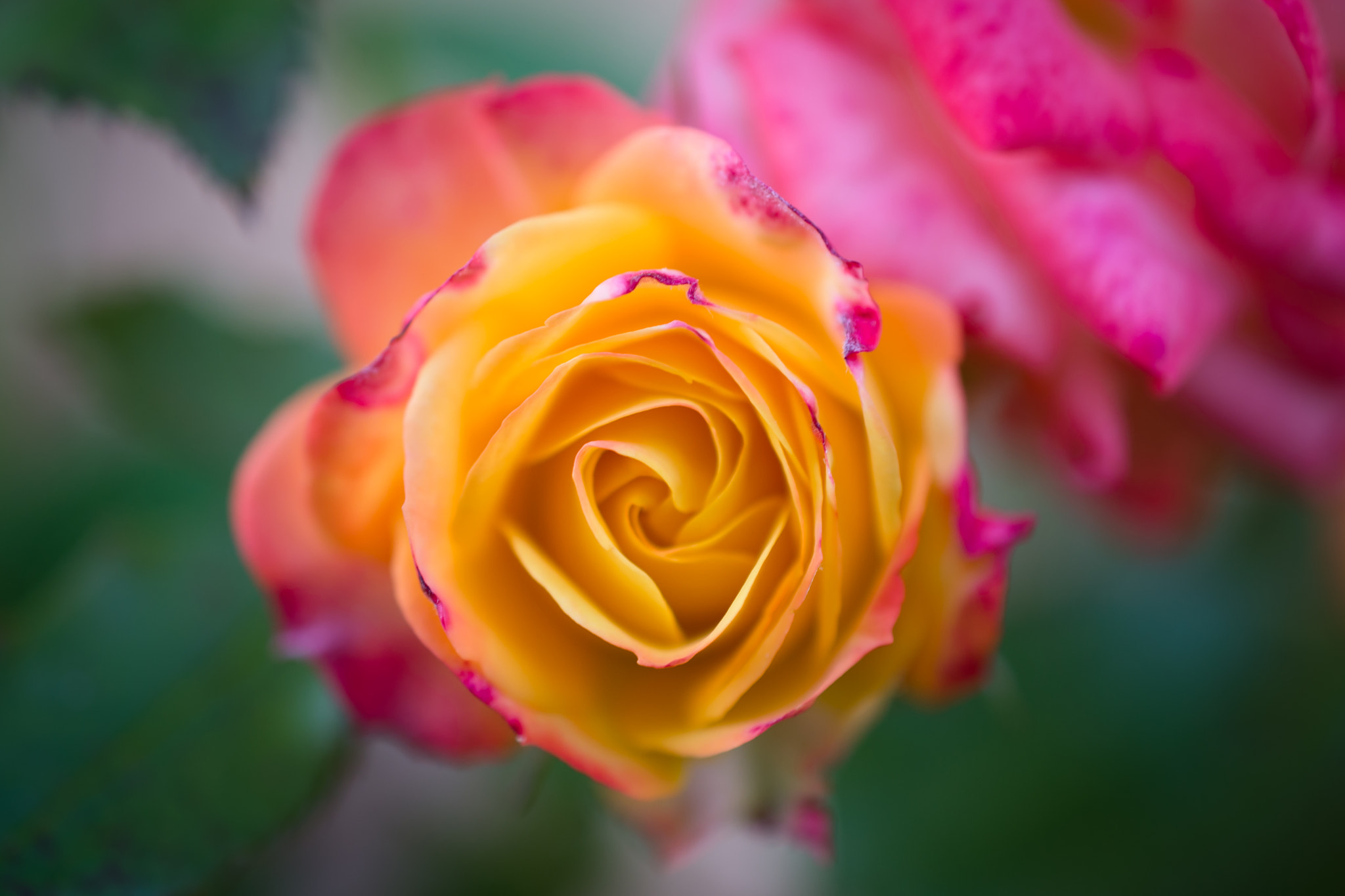 Nikon AF-S DX Micro Nikkor 40mm F2.8 sample photo. Rainbow photography