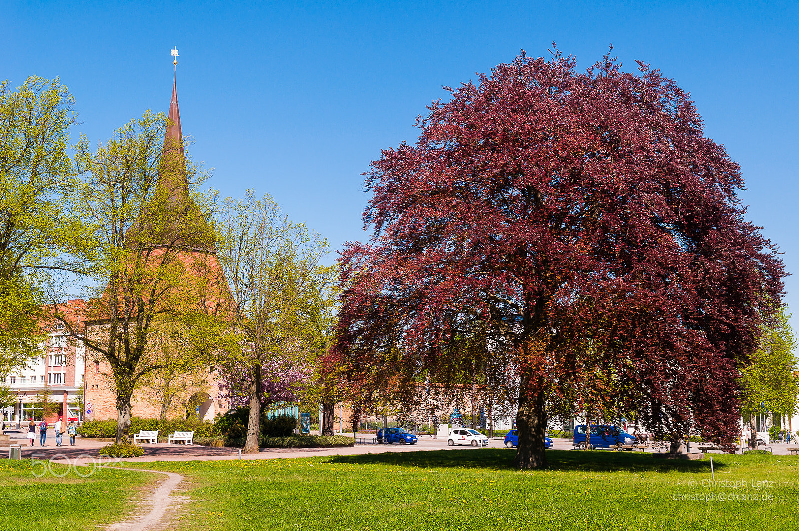 Nikon D90 + Sigma 17-70mm F2.8-4 DC Macro OS HSM | C sample photo. Blutbuche am steintor photography