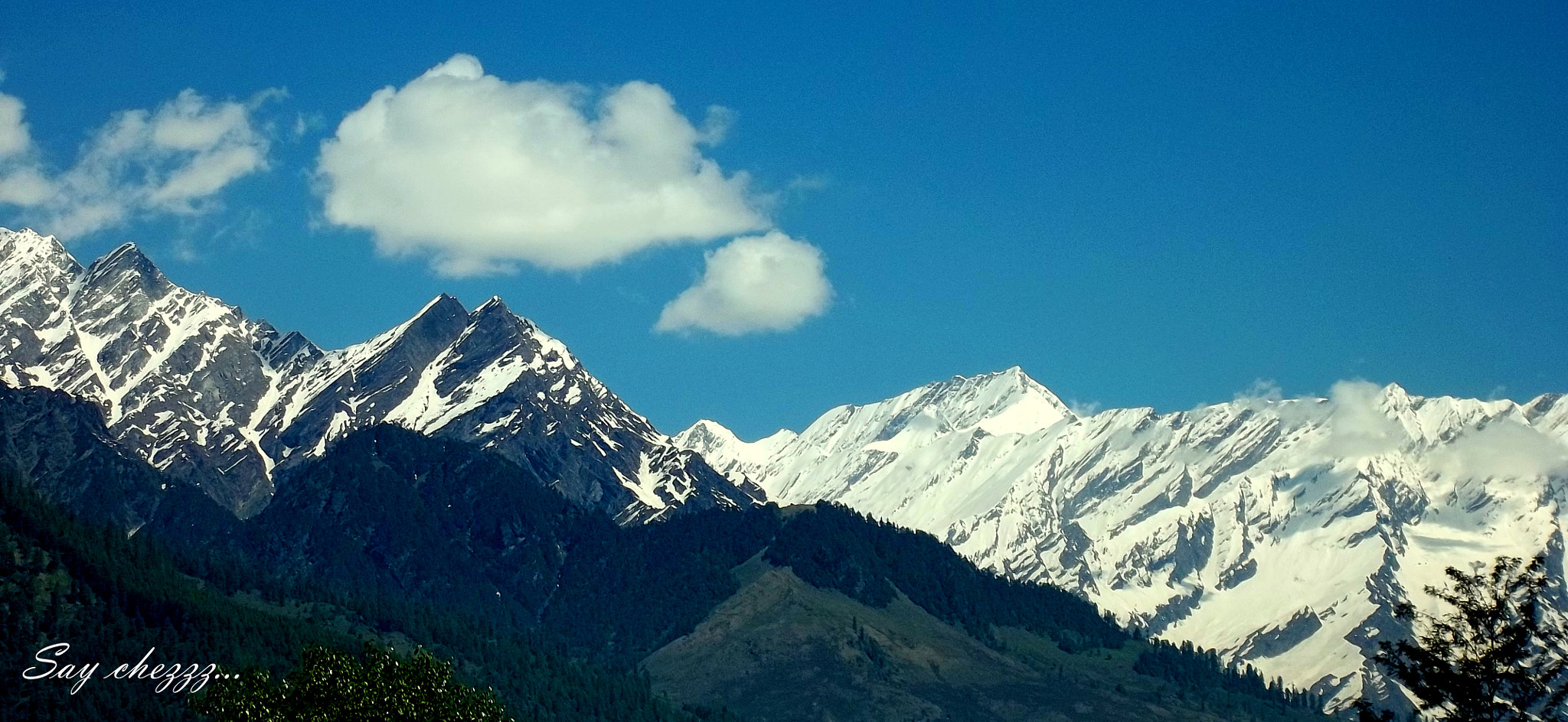Kodak EASYSHARE M531 DIGITAL CAMERA sample photo. Manali safari photography