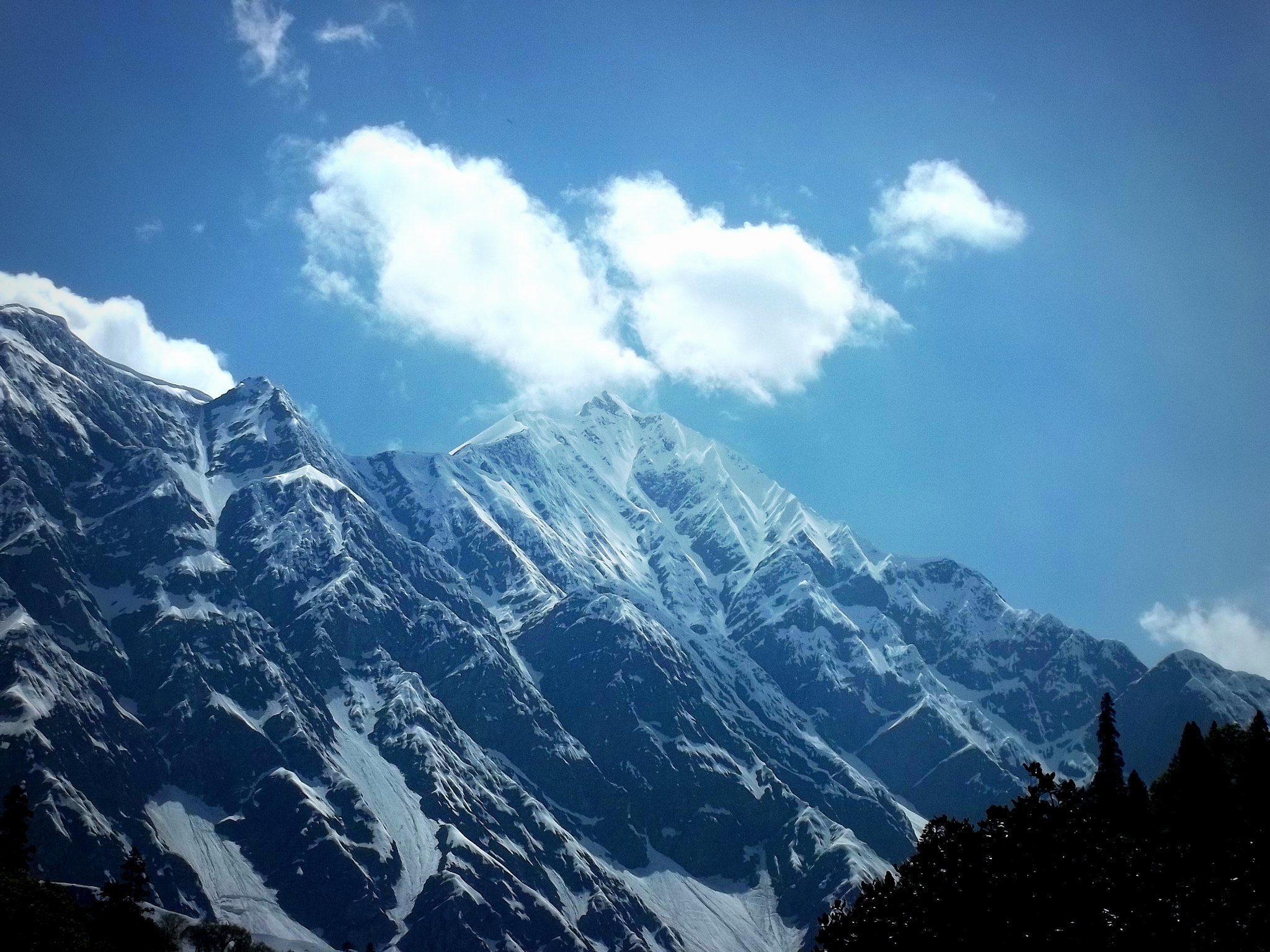 Kodak EASYSHARE M531 DIGITAL CAMERA sample photo. Manali safari photography