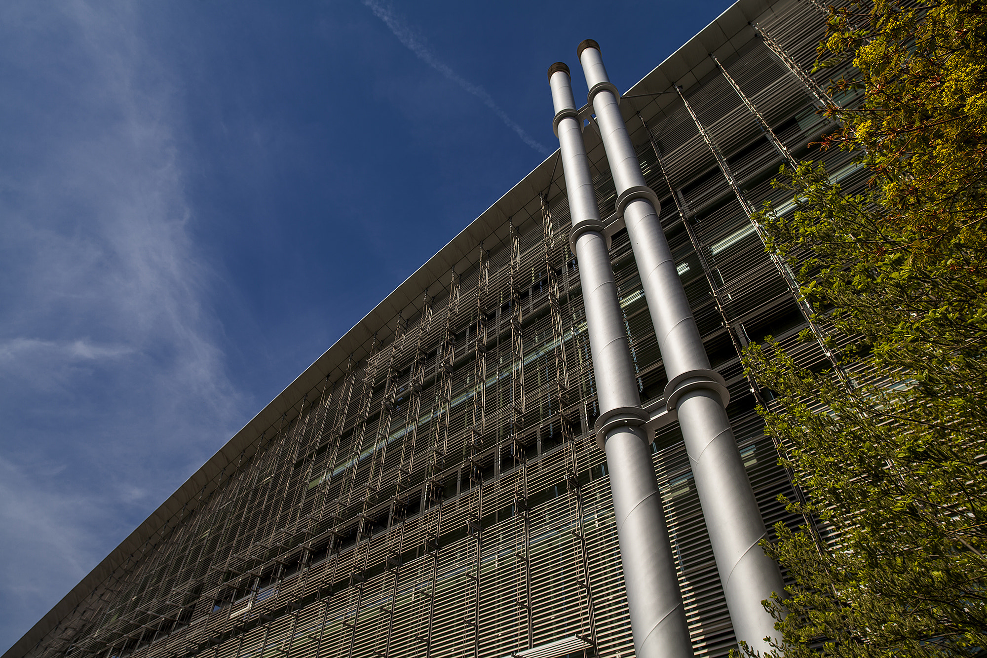 ZEISS Milvus 21mm F2.8 sample photo. Library photography