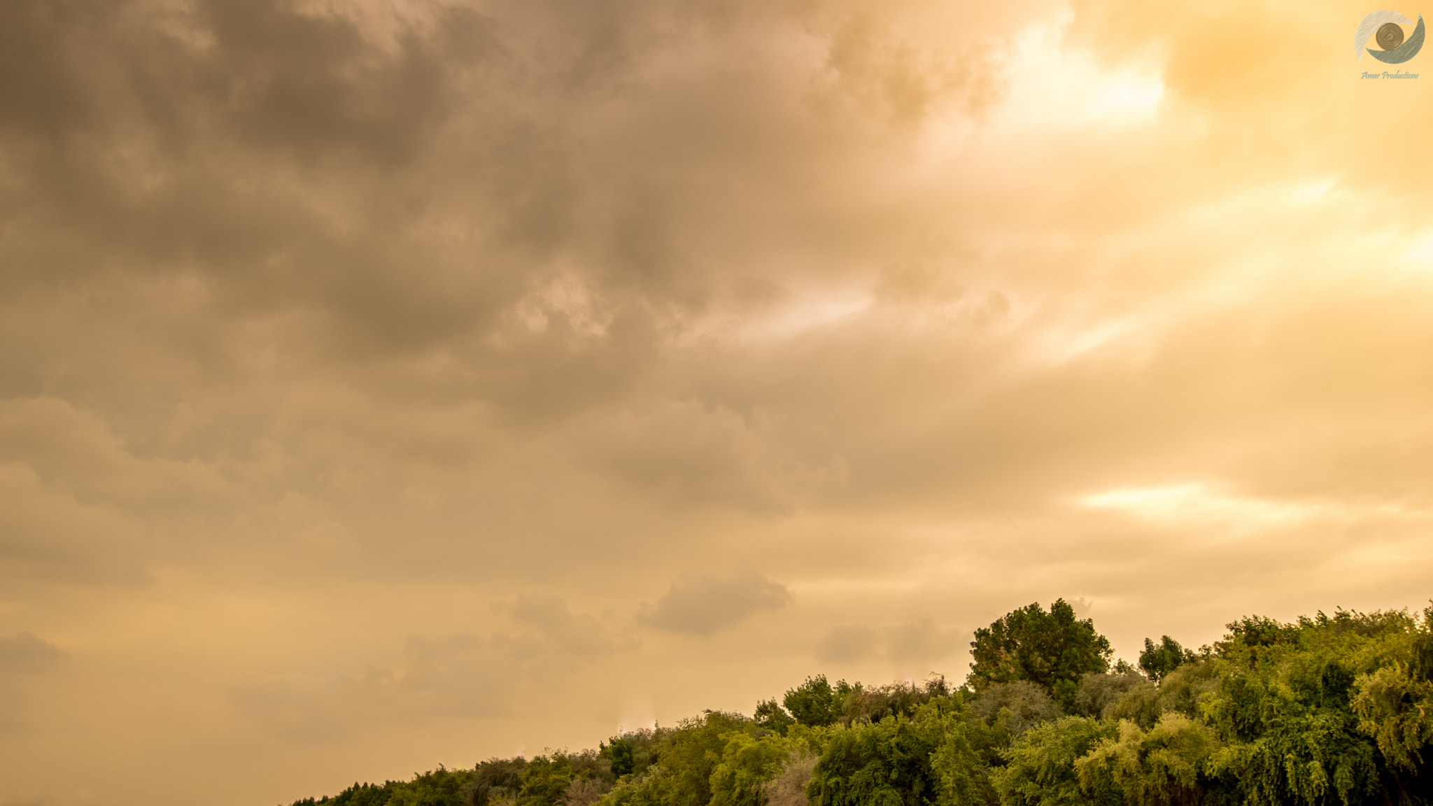 Nikon AF-S Nikkor 14-24mm F2.8G ED sample photo. Shine photography