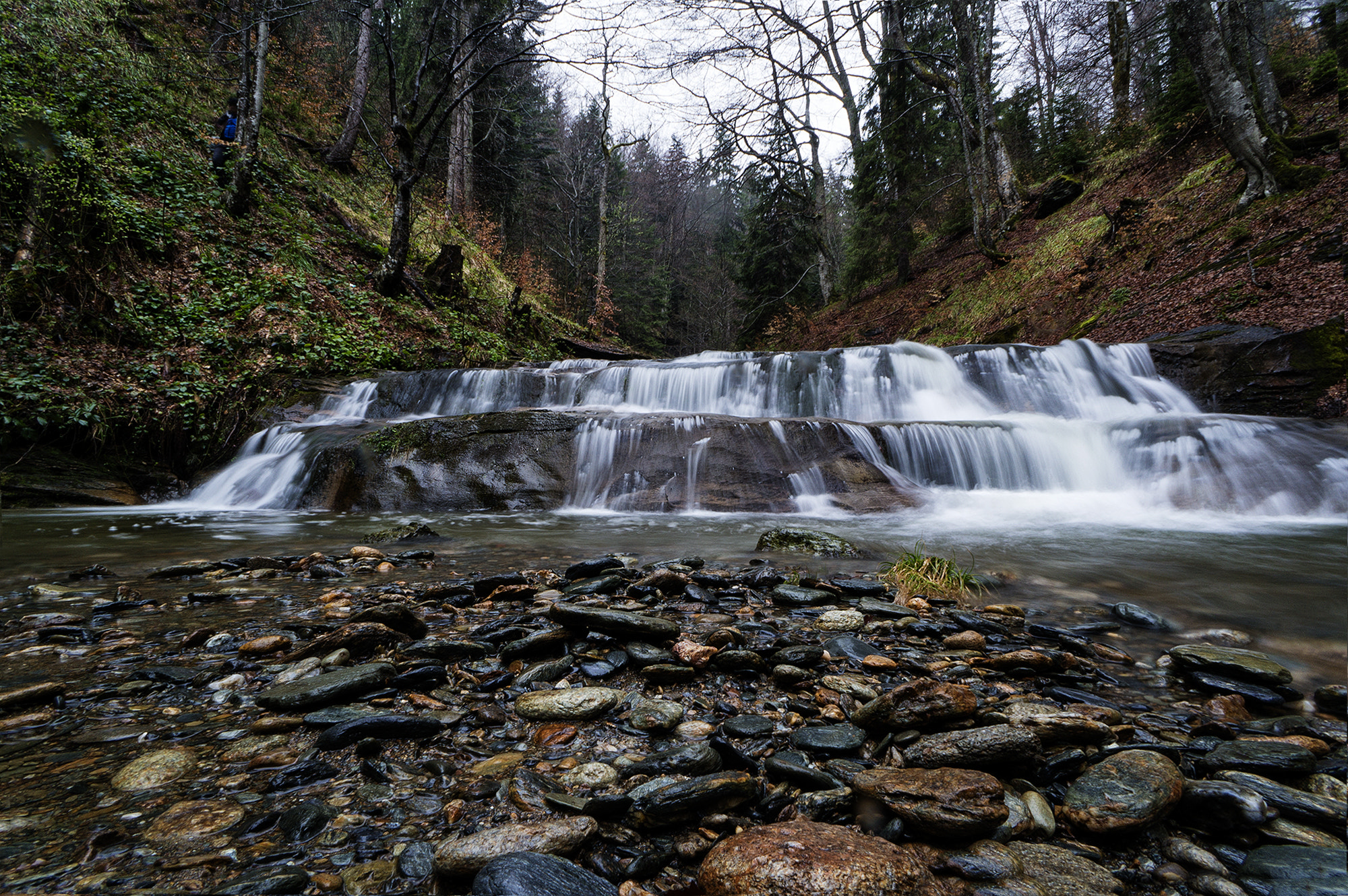 Sony Alpha NEX-5R + Sony E 16mm F2.8 sample photo. Kozice photography