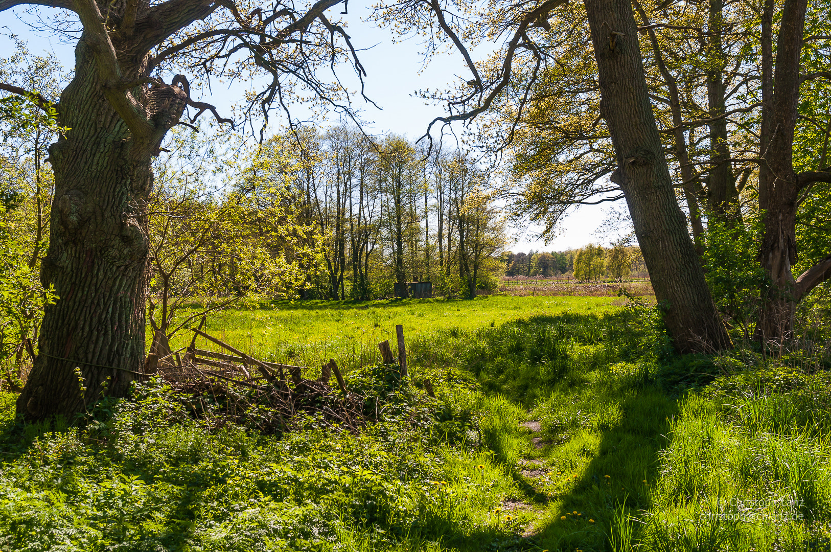 Nikon D90 + Sigma 17-70mm F2.8-4 DC Macro OS HSM | C sample photo. Spring photography