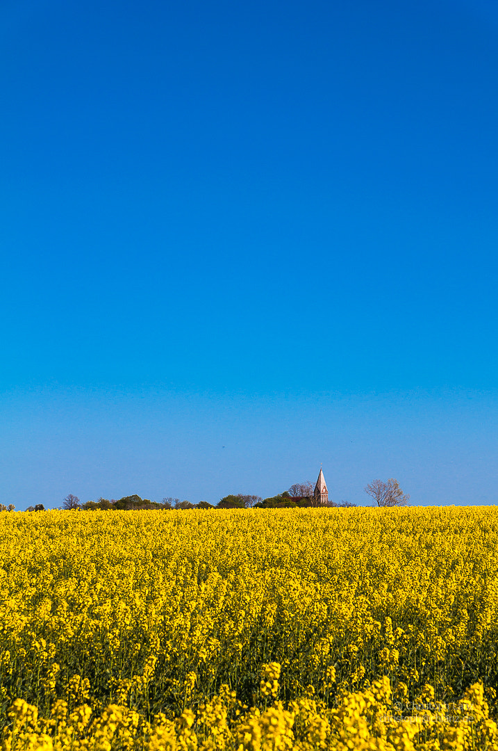 Sigma 17-70mm F2.8-4 DC Macro OS HSM | C sample photo. Kirche hinter dem rapsfeld photography