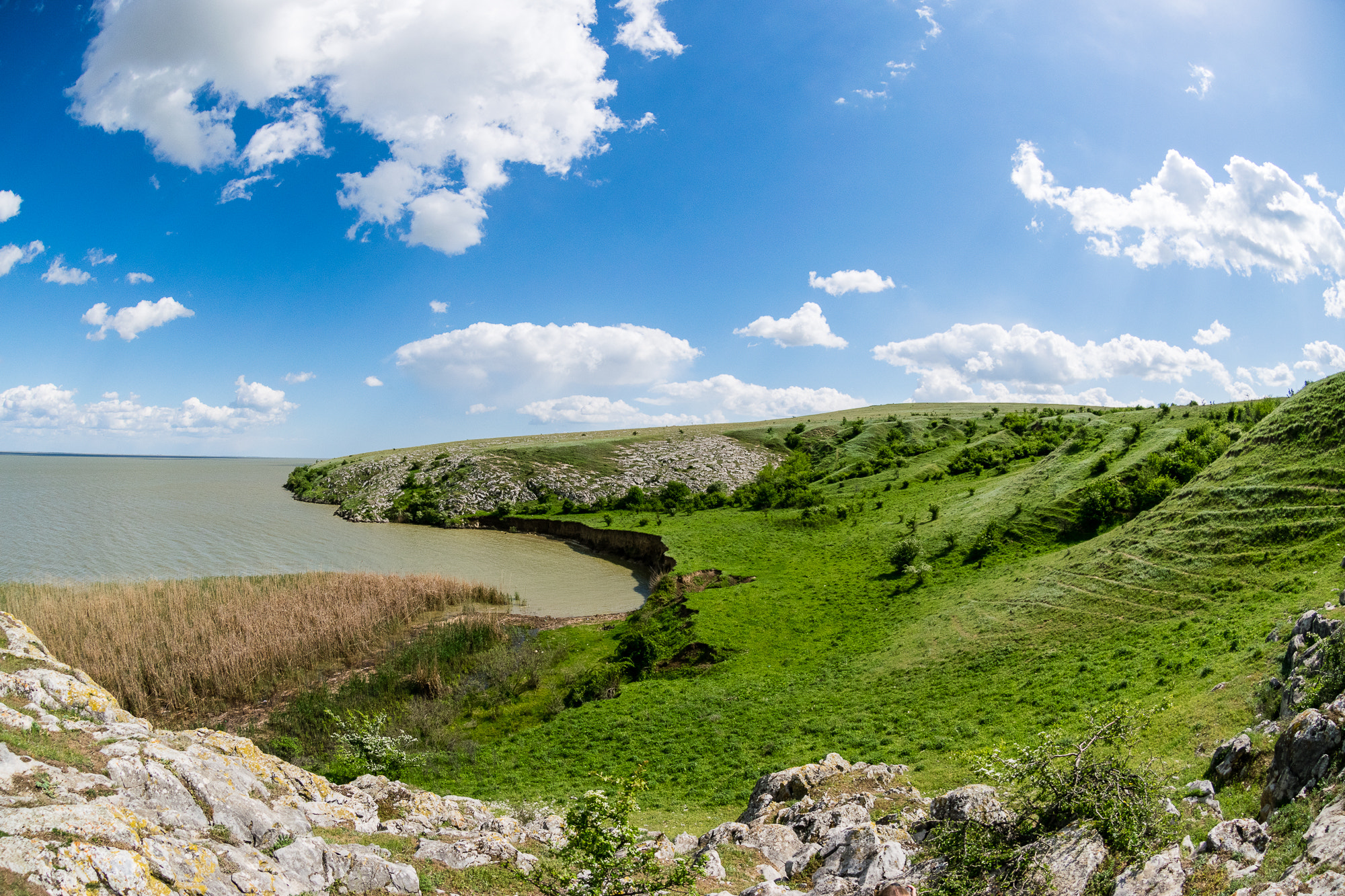 Nikon AF DX Fisheye-Nikkor 10.5mm F2.8G ED sample photo. Nature photography