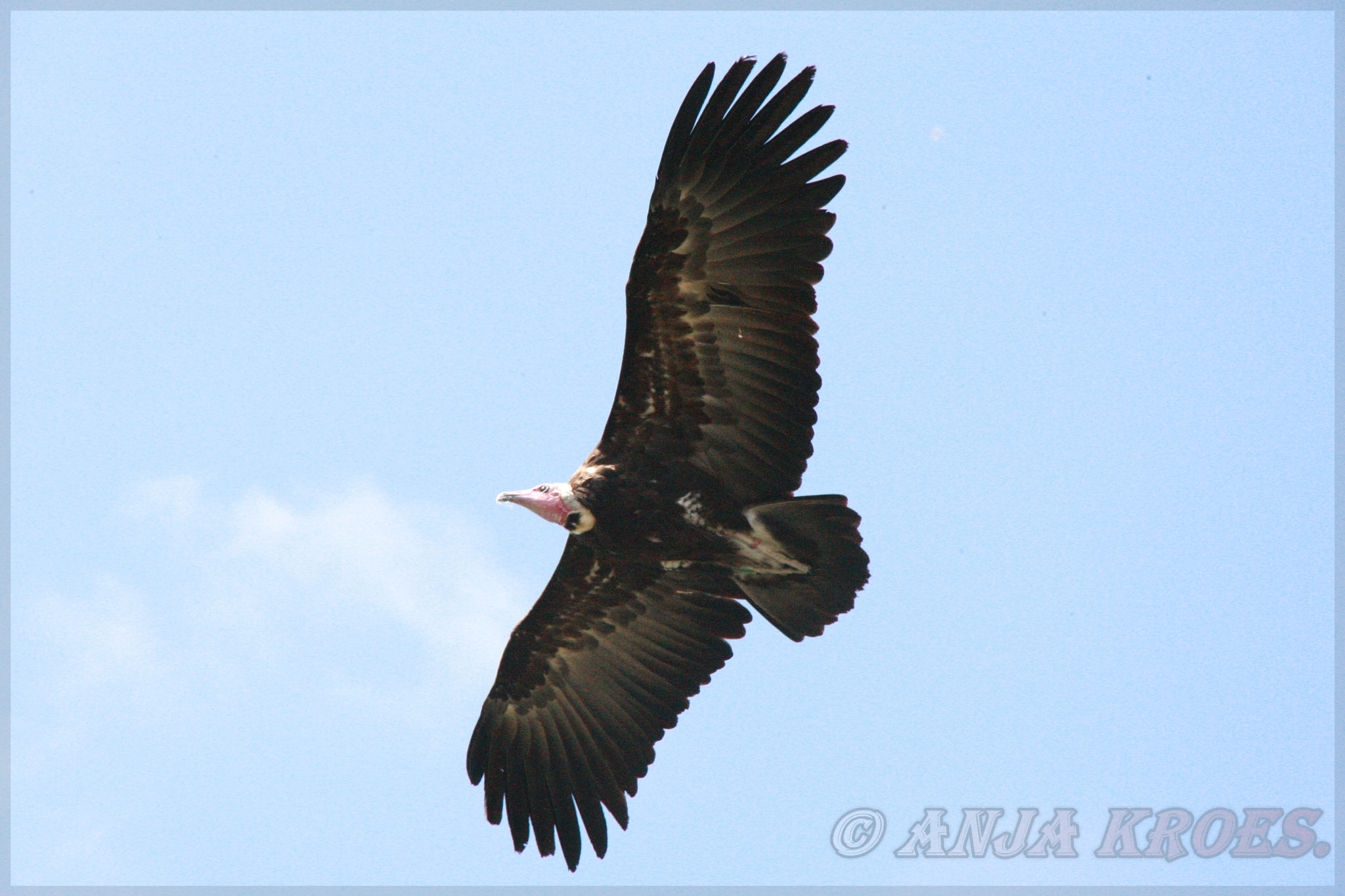 Canon EOS-1D Mark III sample photo