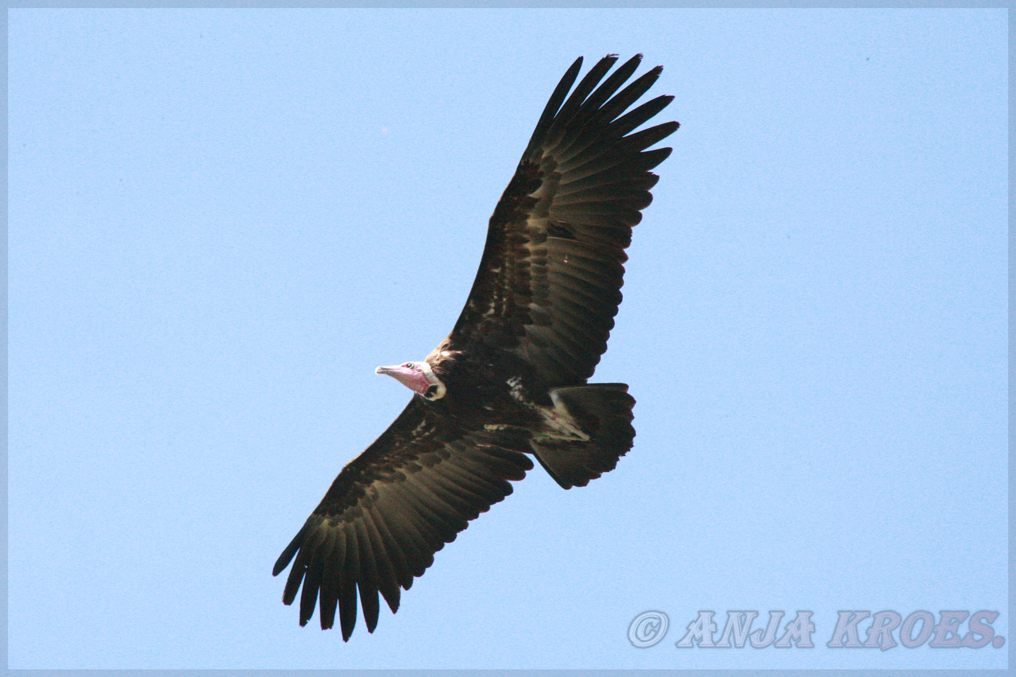 Canon EOS-1D Mark III sample photo