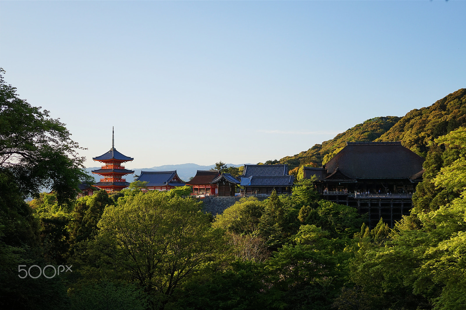 Sony Alpha a5000 (ILCE 5000) + Sigma 30mm F2.8 EX DN sample photo. Kiyomizu-dera photography