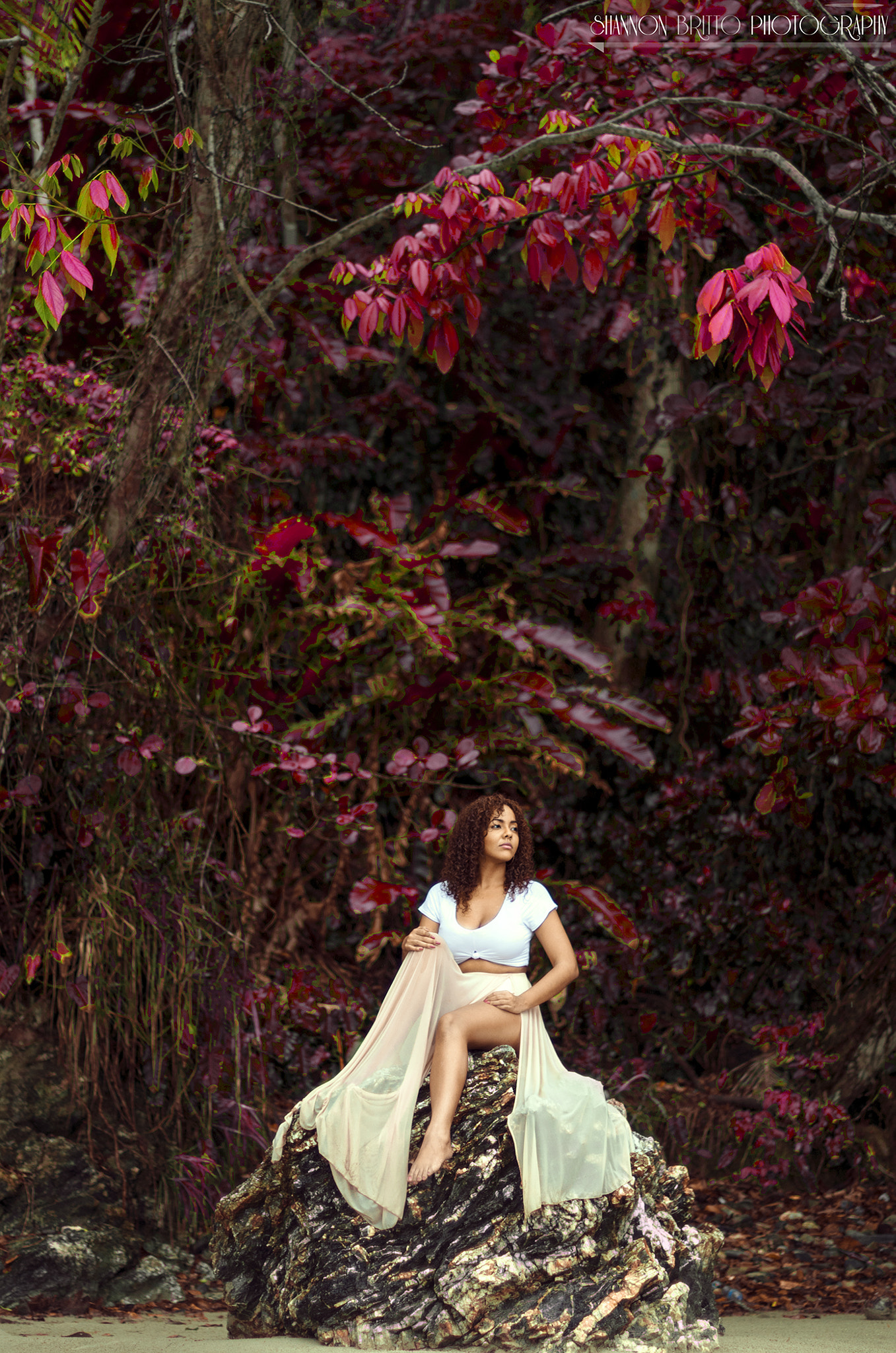 Pentax K-5 IIs sample photo. Red forest photography