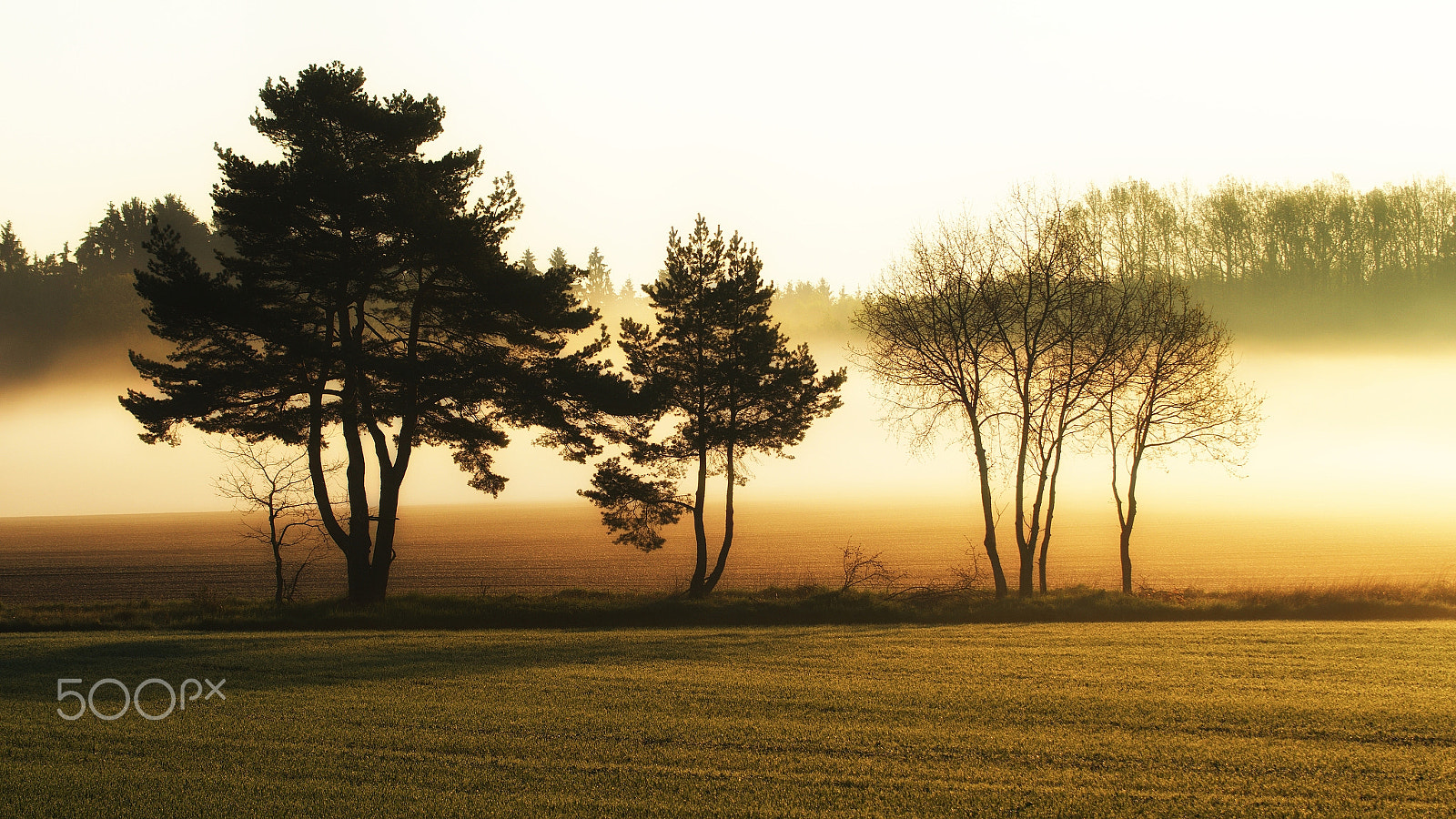 Nikon D3200 + 70.00 - 300.00 mm f/4.0 - 5.6 sample photo. Magical morning in the fog ii ... photography