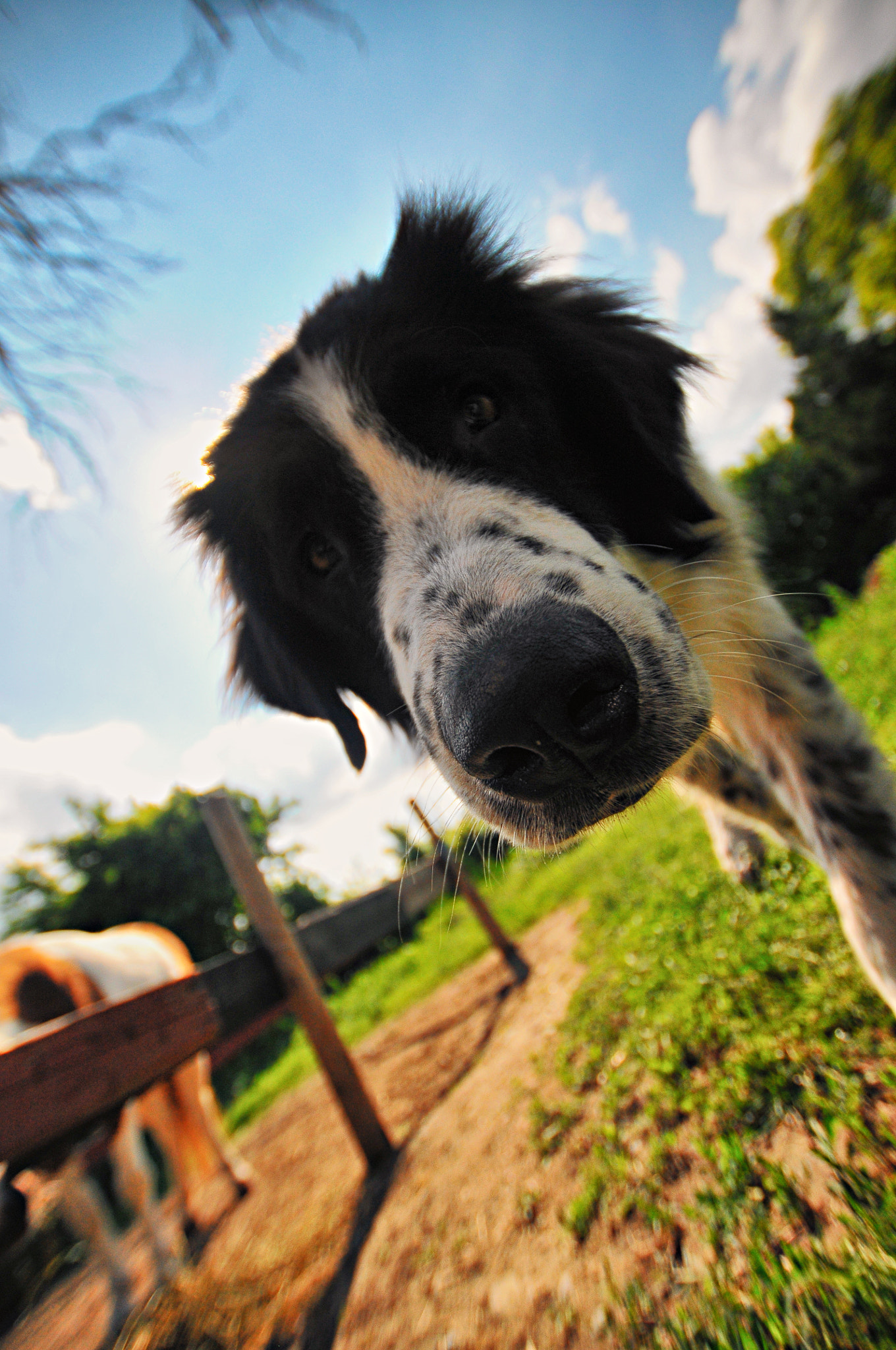 Nikon D300 + Sigma 10-20mm F3.5 EX DC HSM sample photo. I smell a cheap lens, there, boy! photography