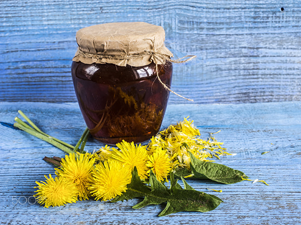 Olympus OM-D E-M1 + Olympus Zuiko Digital 25mm F2.8 Pancake sample photo. Jam of dandelions photography