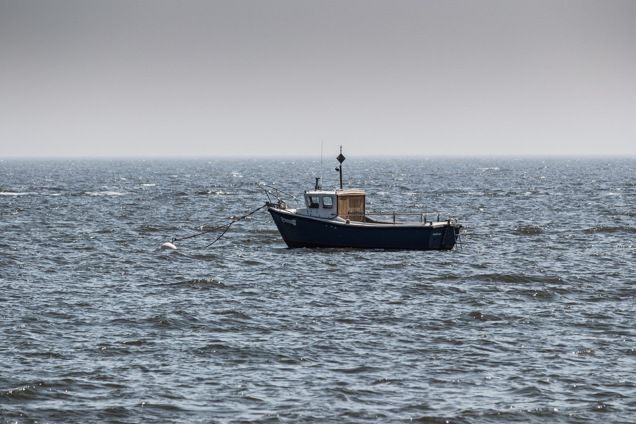 Canon EF-S 55-250mm F4-5.6 IS sample photo. Bone of contention photography