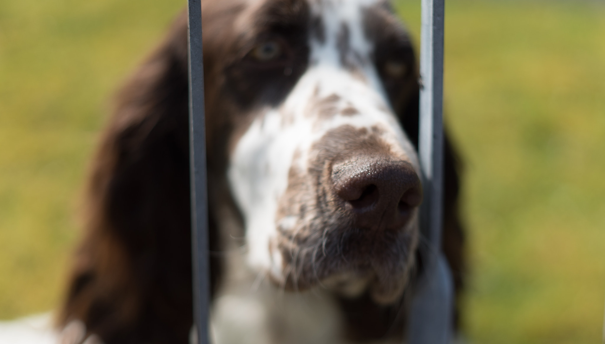 E 50mm F2 sample photo. Dont go! photography