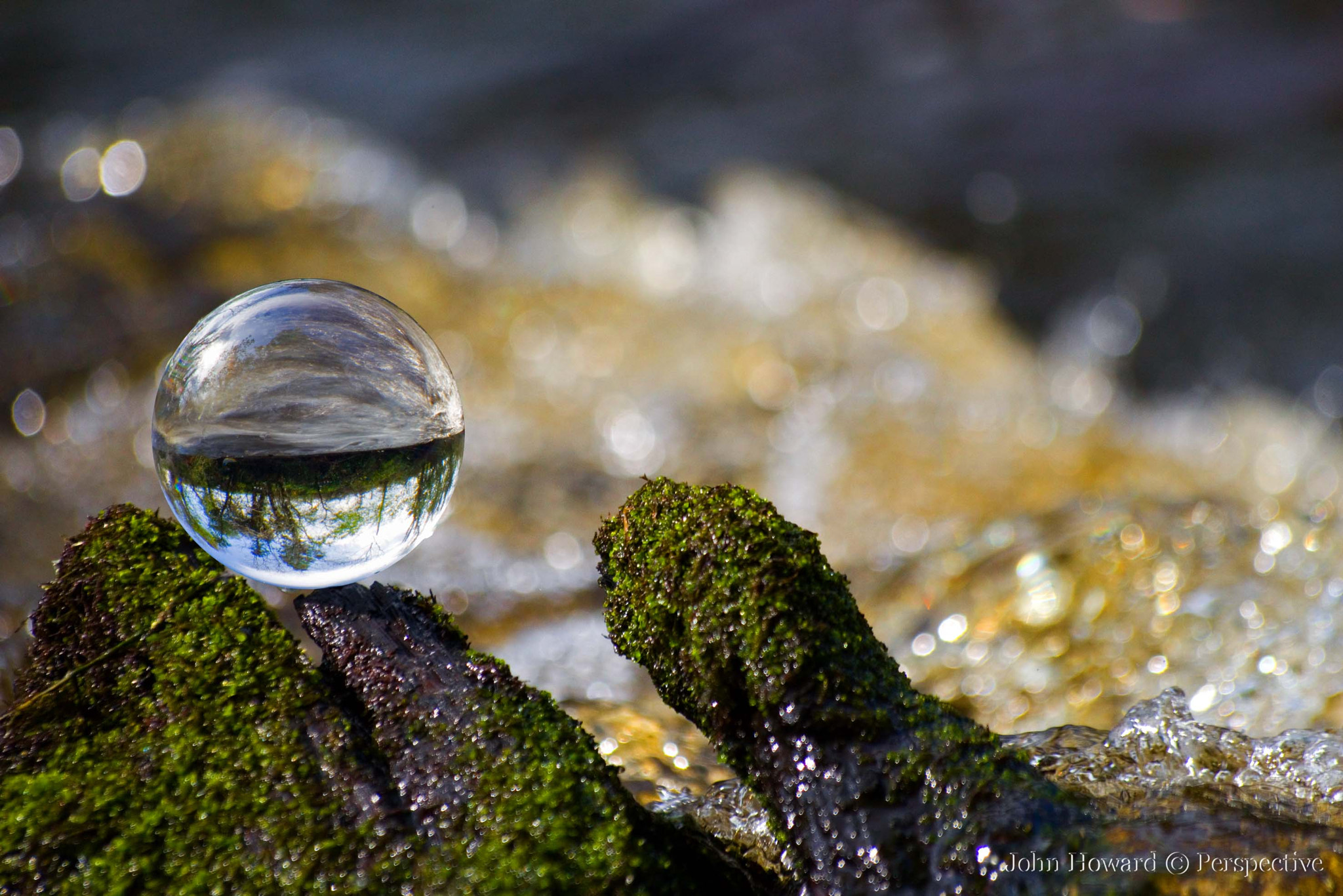 Sigma 70-300mm F4-5.6 APO DG Macro sample photo. "above the wash" photography