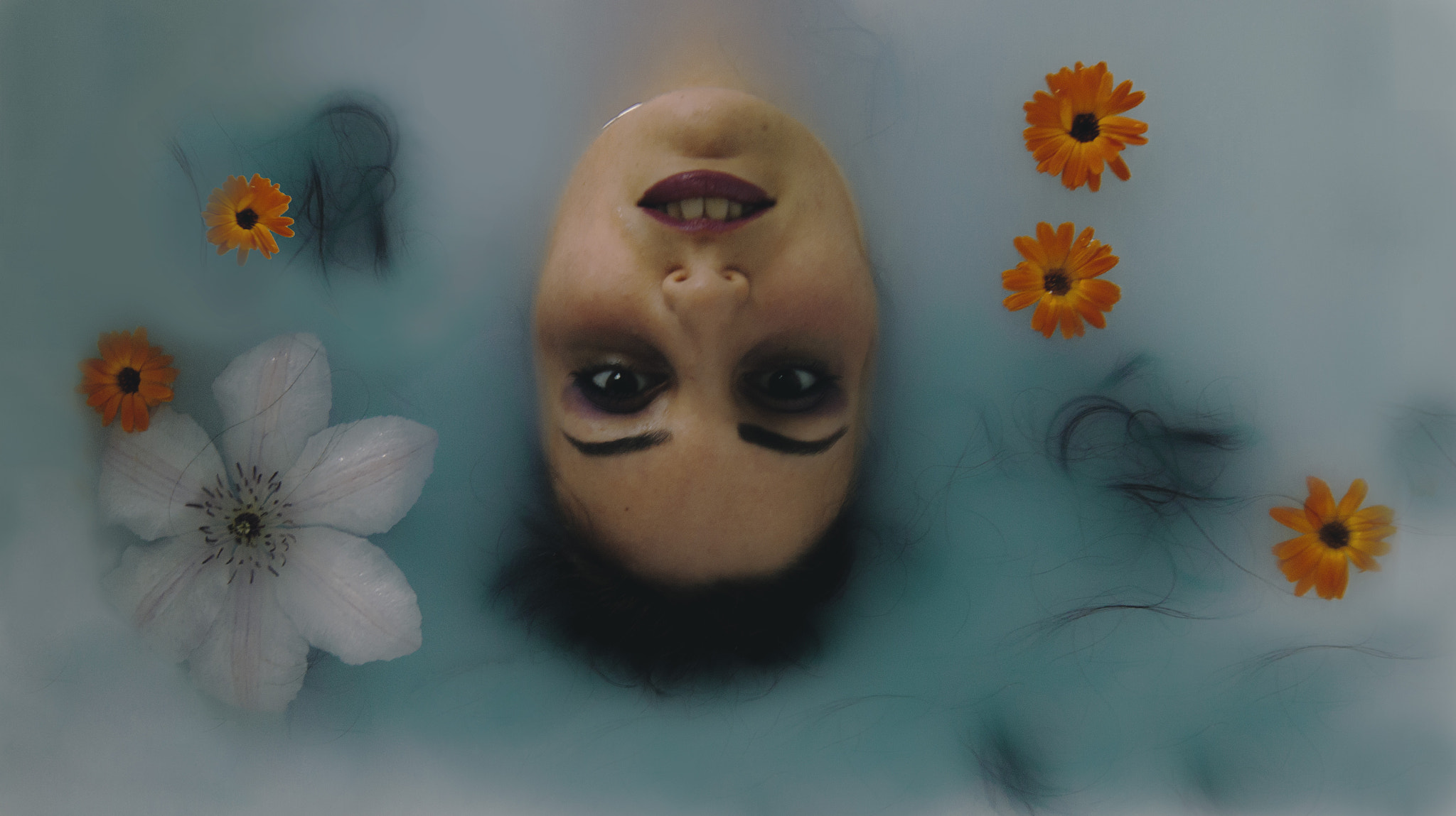 Sony Alpha DSLR-A290 + Sony DT 18-55mm F3.5-5.6 SAM sample photo. Underwater photography