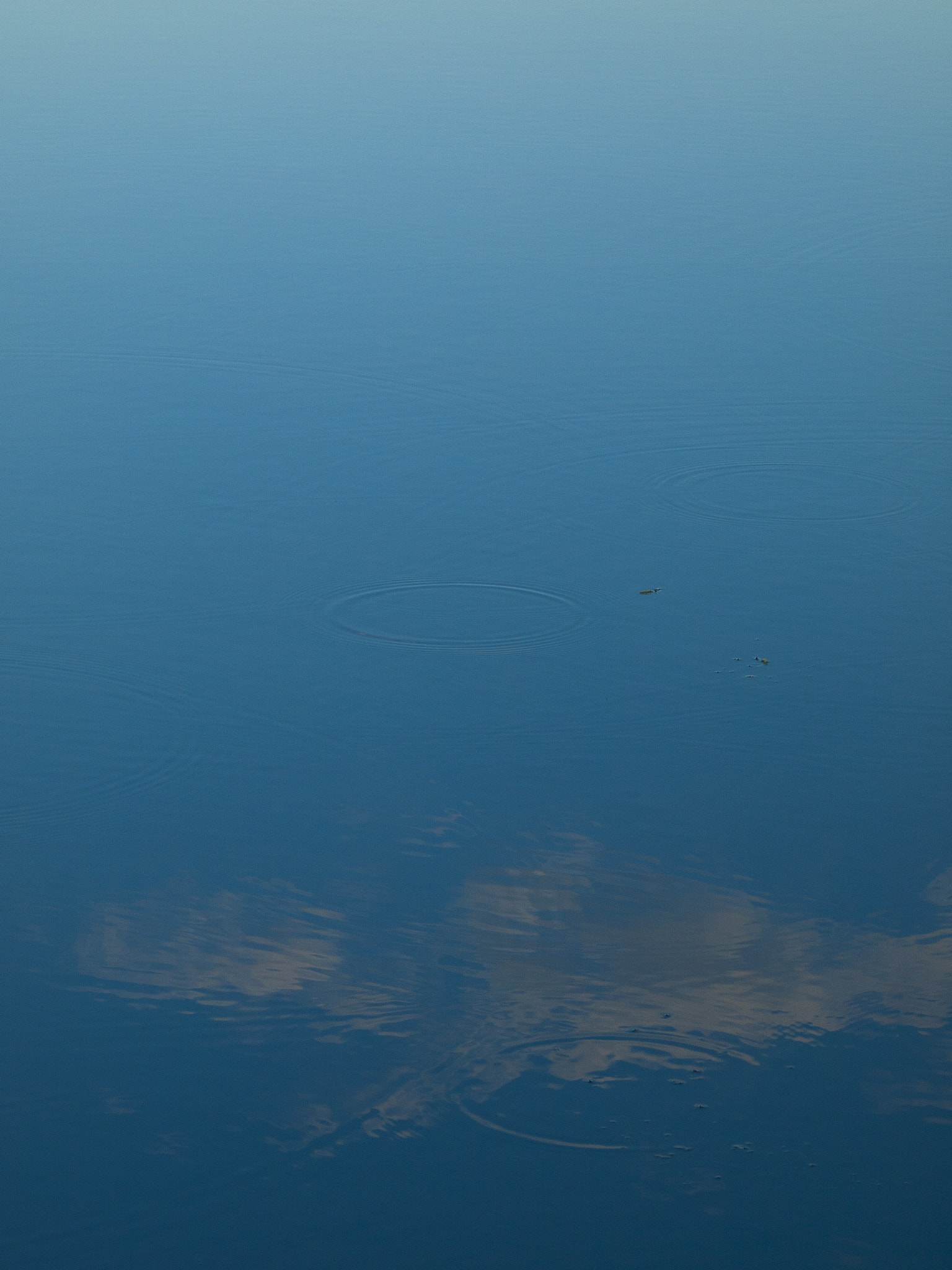 Olympus Zuiko Digital ED 70-300mm F4.0-5.6 sample photo. Drowning clouds photography
