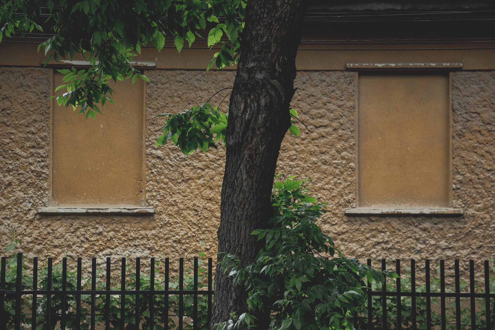 Canon EF-S 18-135mm F3.5-5.6 IS STM sample photo. Into cities souls - around timisoara photography