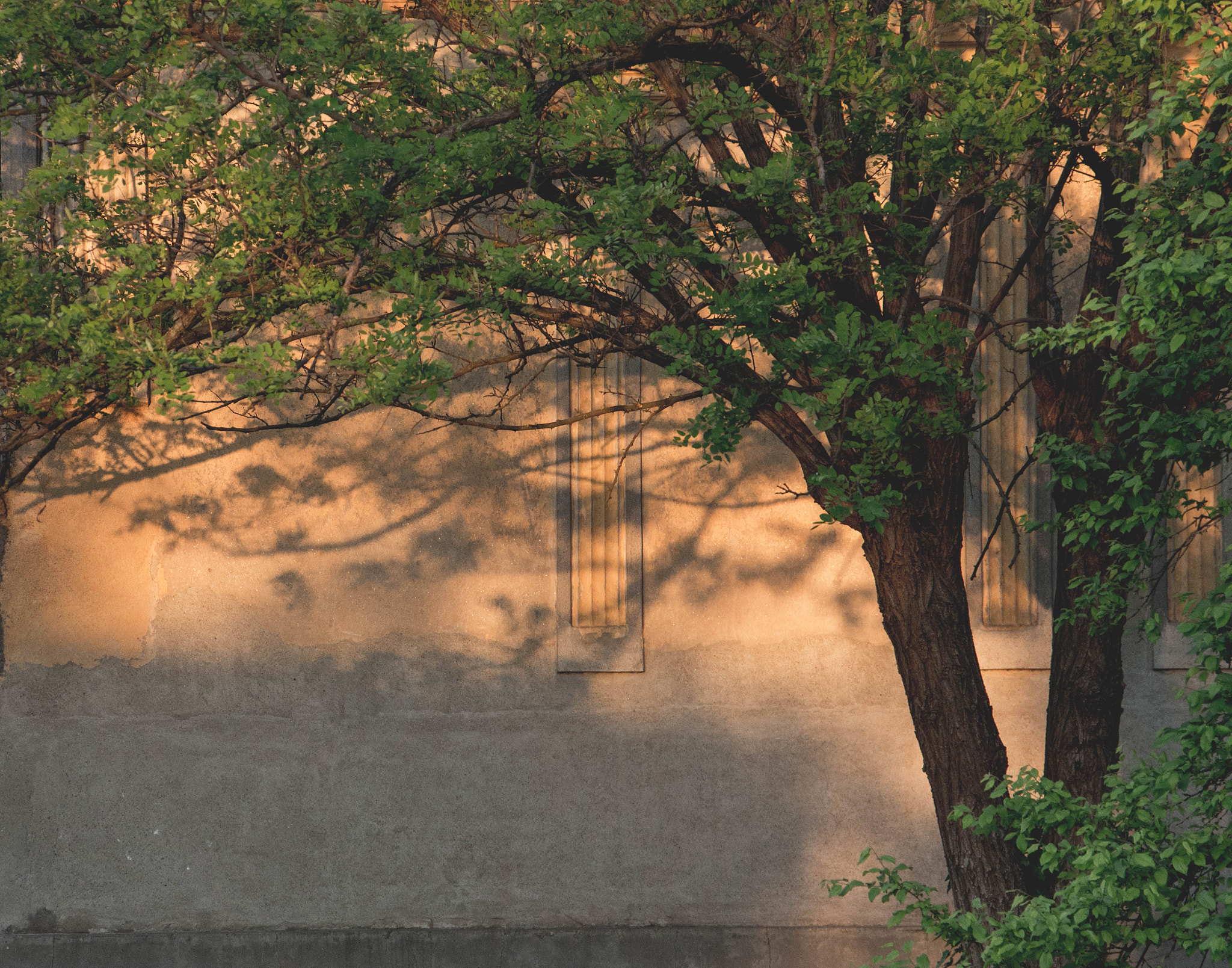 Canon EF-S 18-135mm F3.5-5.6 IS STM sample photo. Into cities souls - jimbolia photography