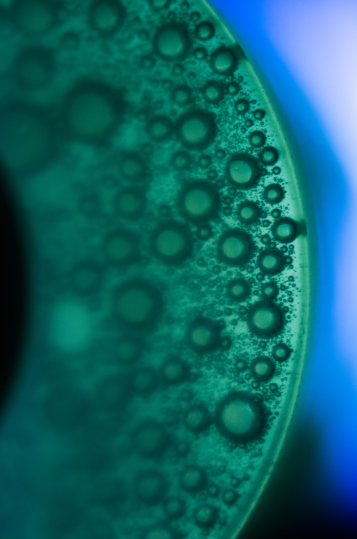 Nikon D7000 + Sigma 50mm F2.8 EX DG Macro sample photo. I'm a bubble in a bottle photography
