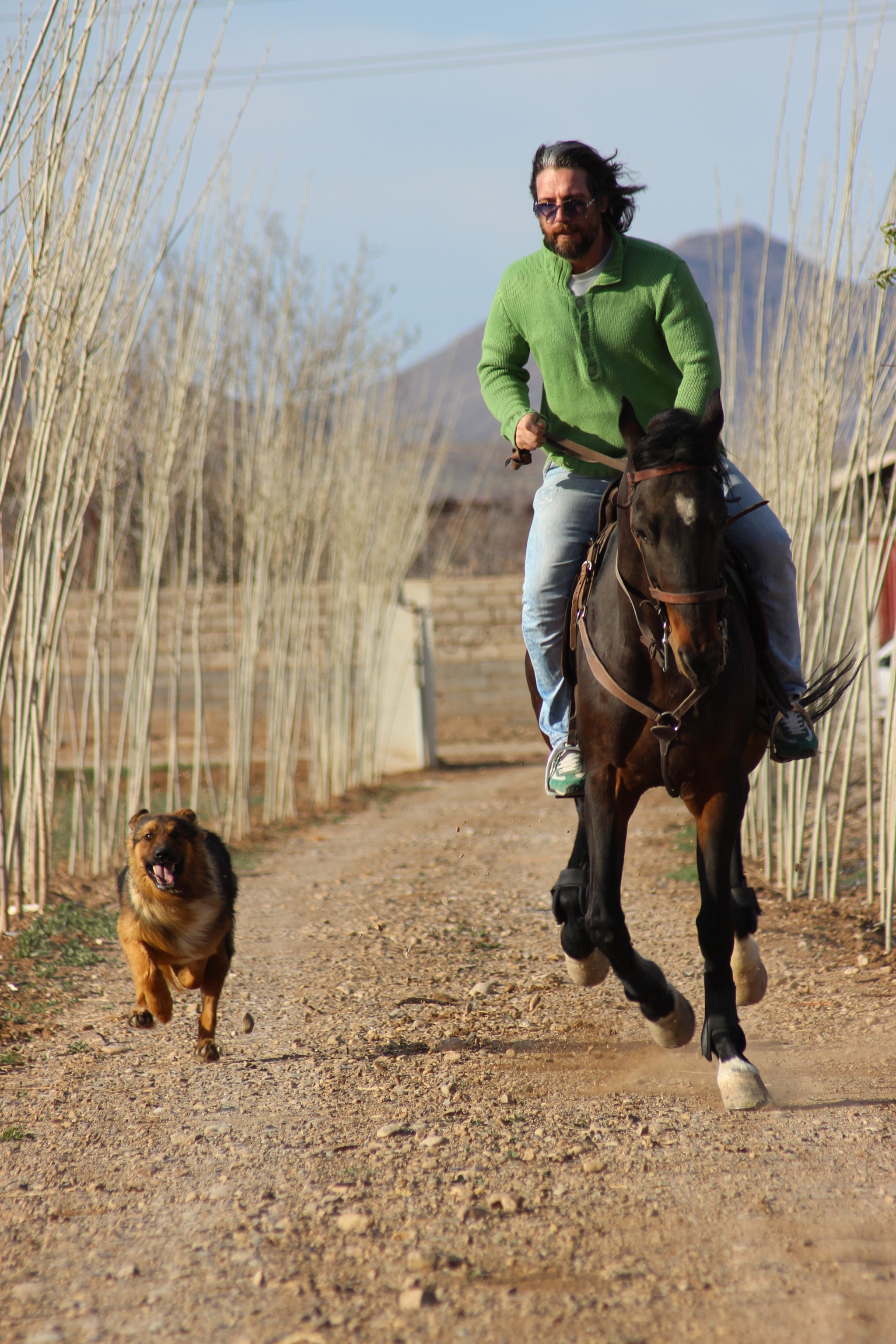 Canon EF 55-200mm F4.5-5.6 II USM sample photo. Horse riding photography