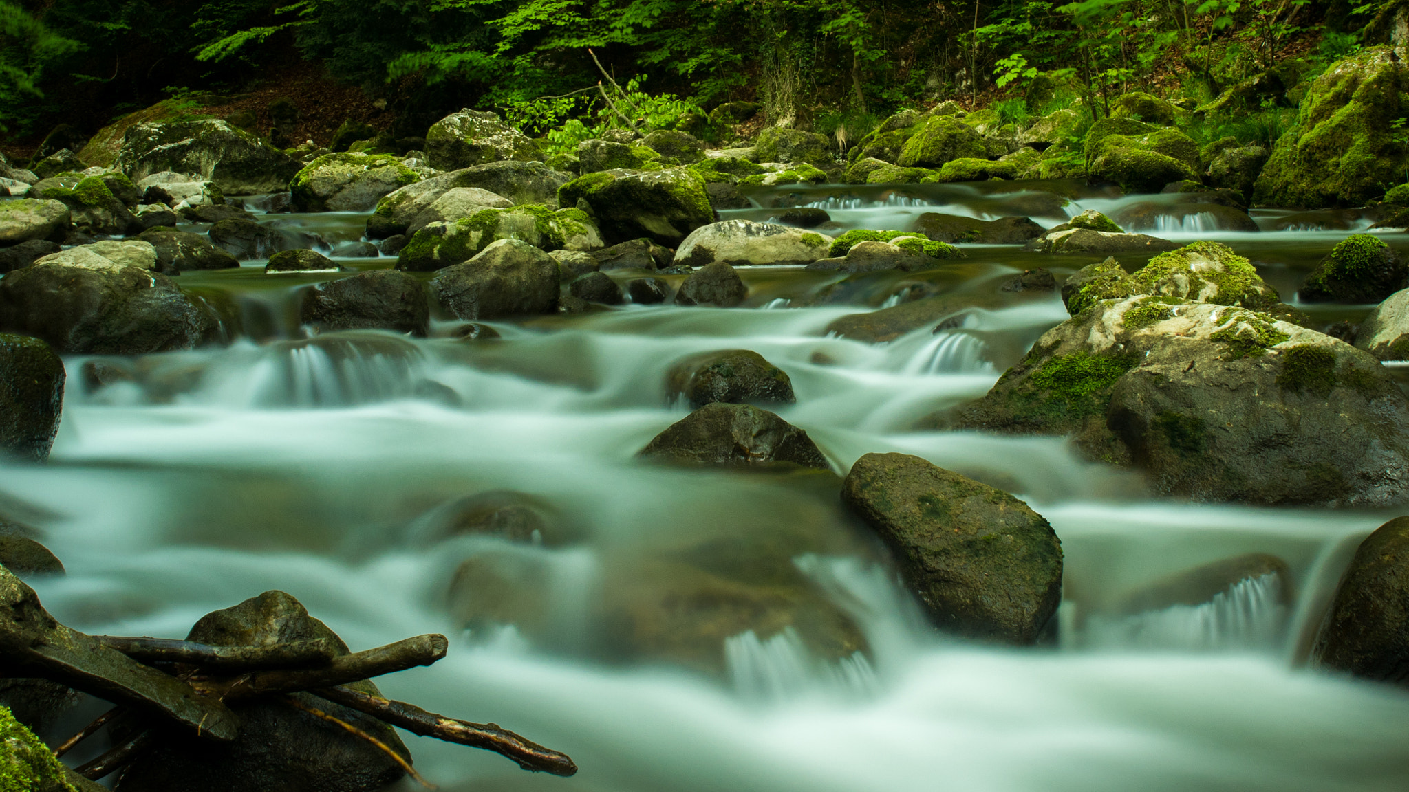 Canon EF 28mm F2.8 IS USM sample photo. . photography