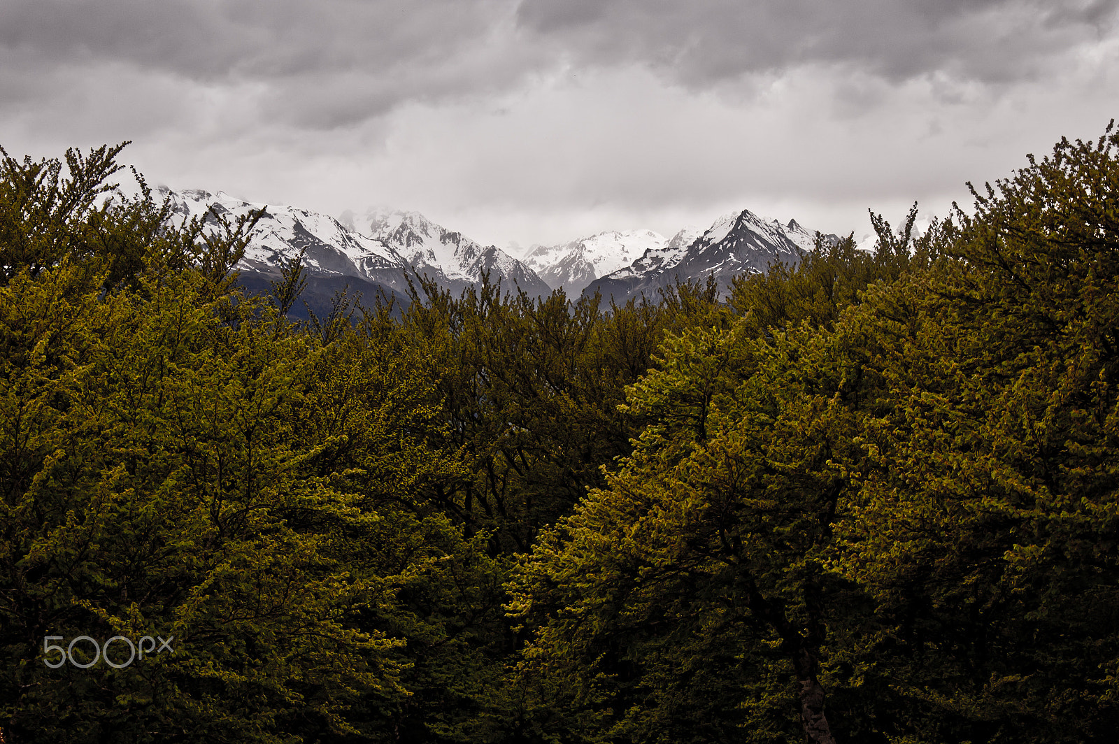Nikon D50 sample photo. Middle earth again photography