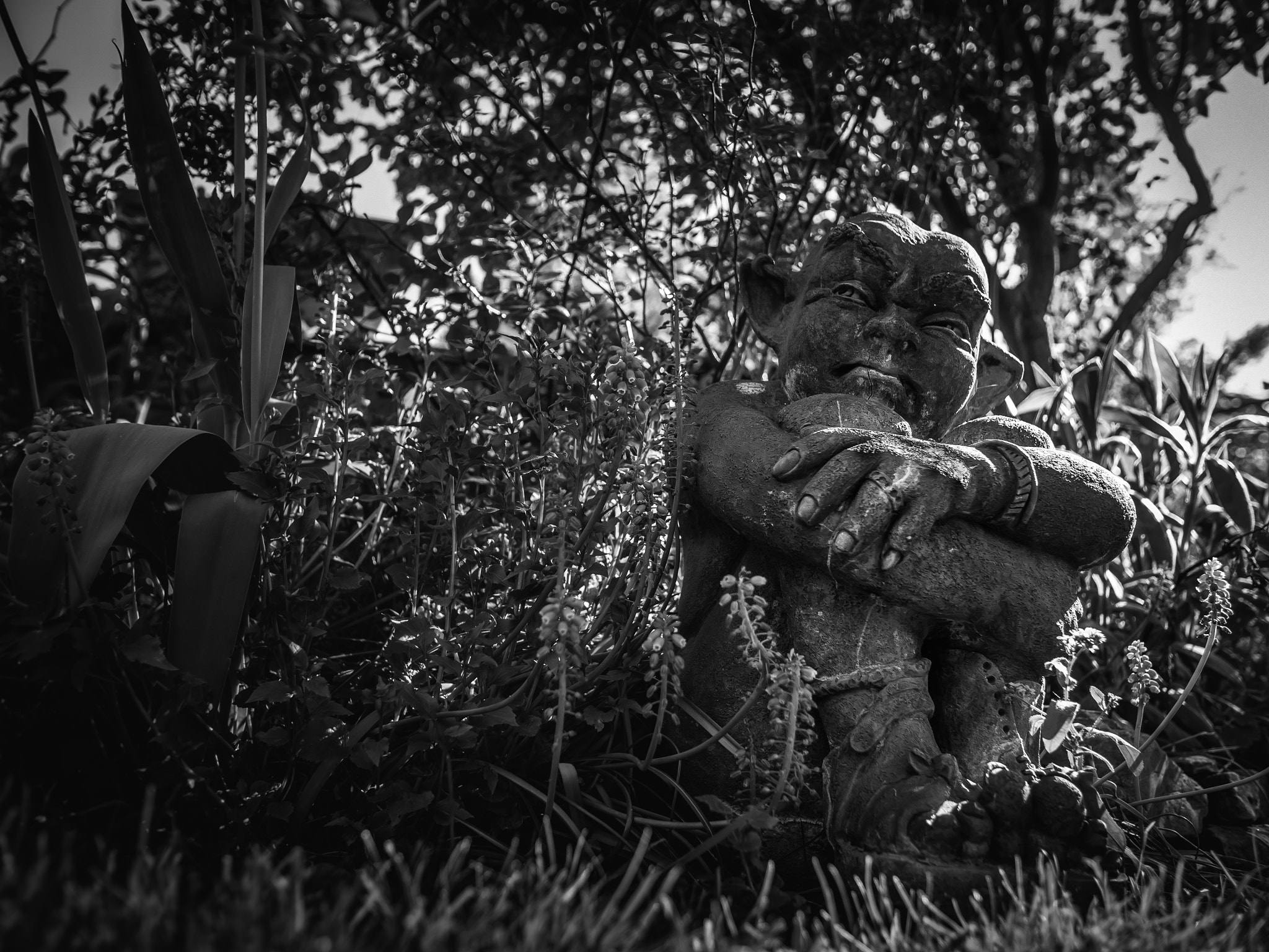 Panasonic Lumix DMC-GH4 sample photo. Garden-freak photography