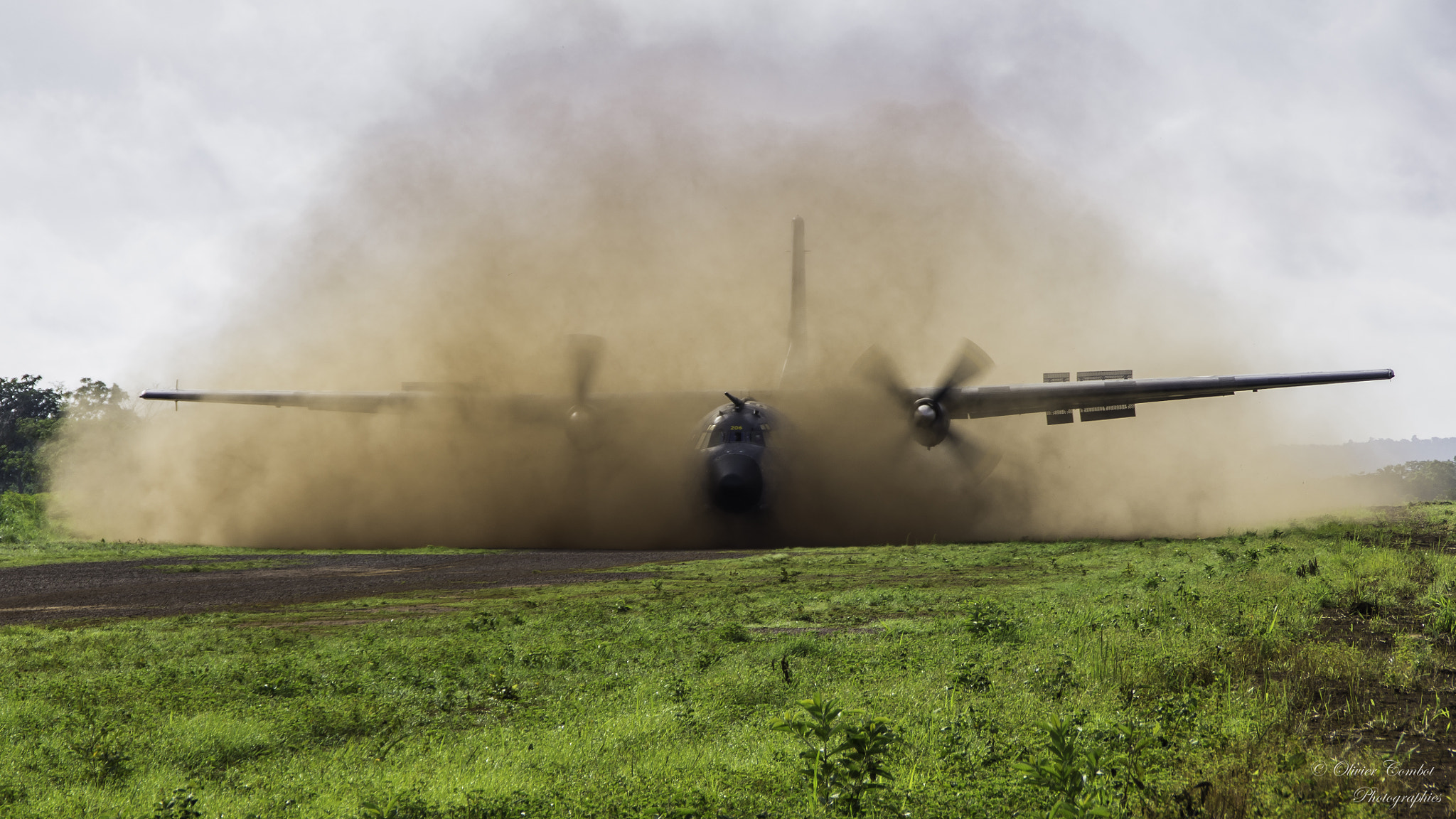 Tamron AF 18-200mm F3.5-6.3 XR Di II LD Aspherical (IF) Macro sample photo. C-160 dust landing photography