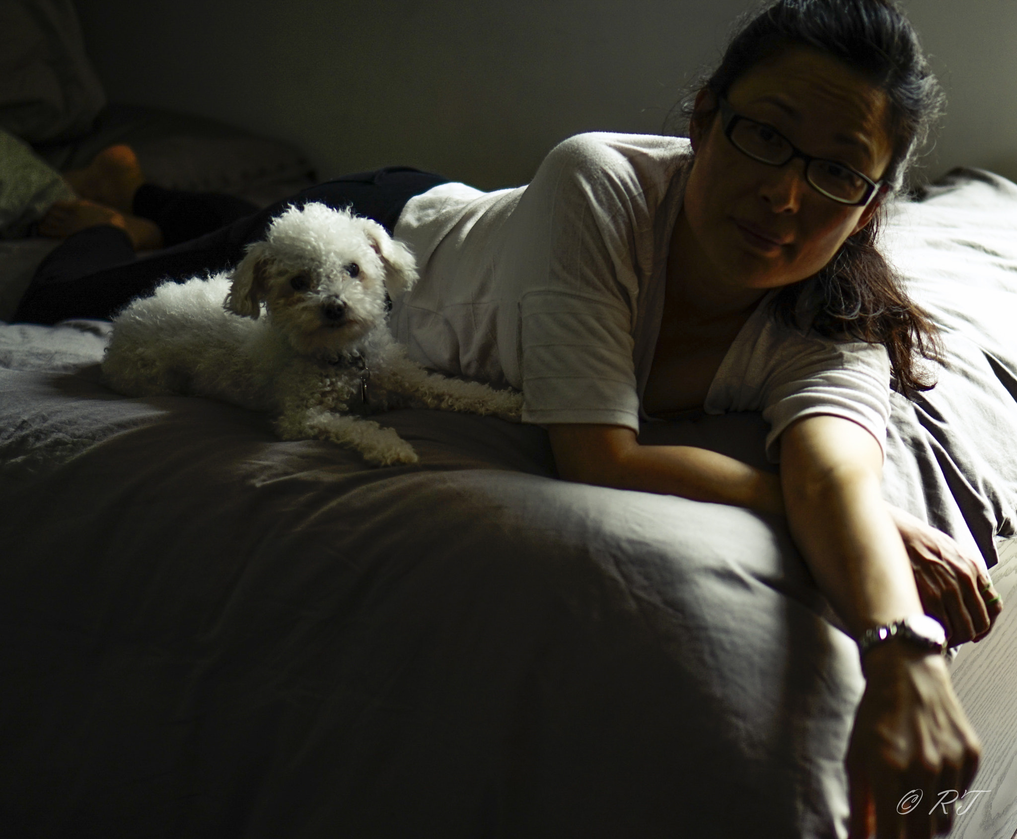 Sony E 35mm F1.8 OSS sample photo. Furry baby.jpg photography