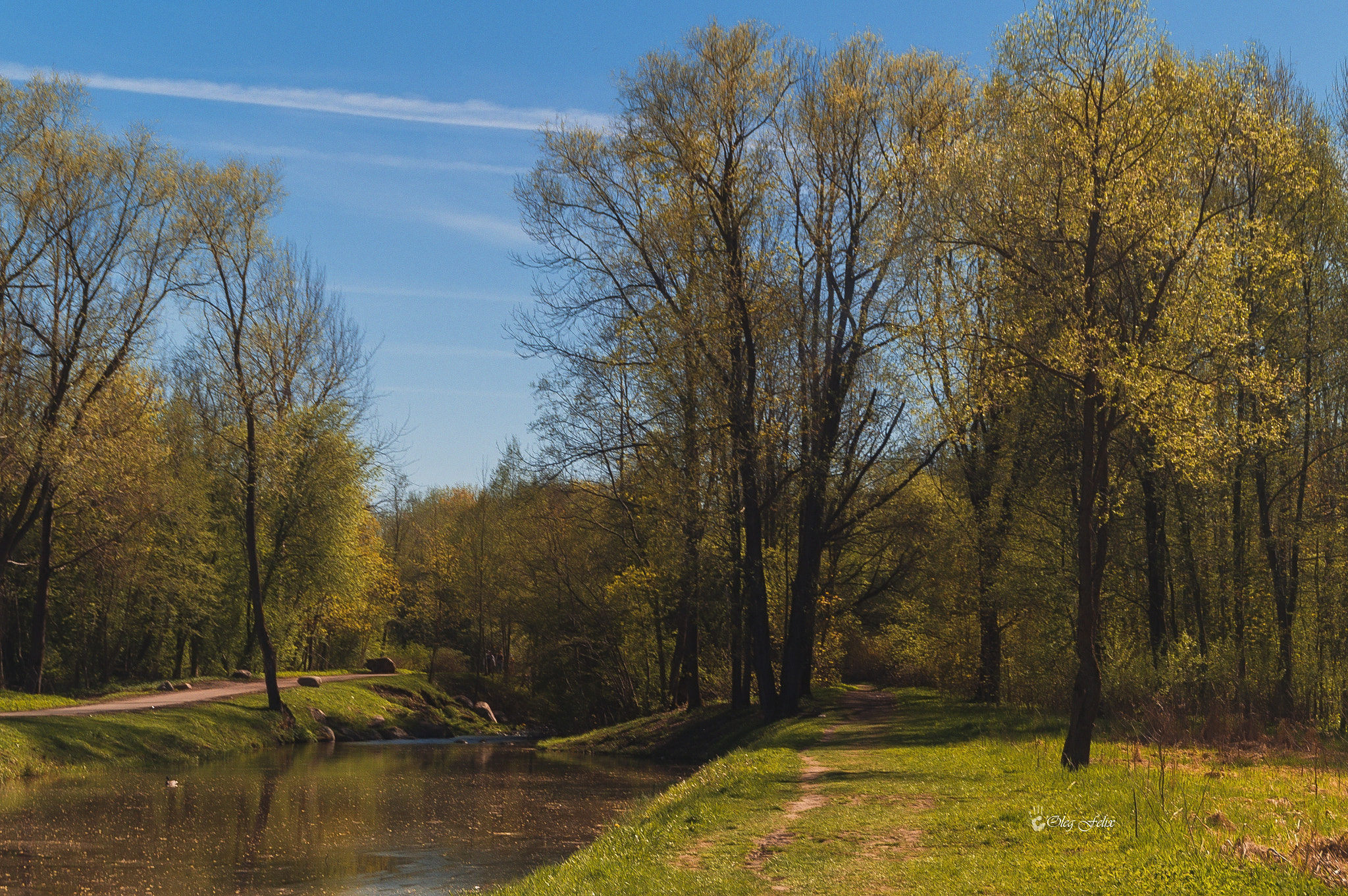Sony SLT-A37 sample photo. Spring in the park. photography