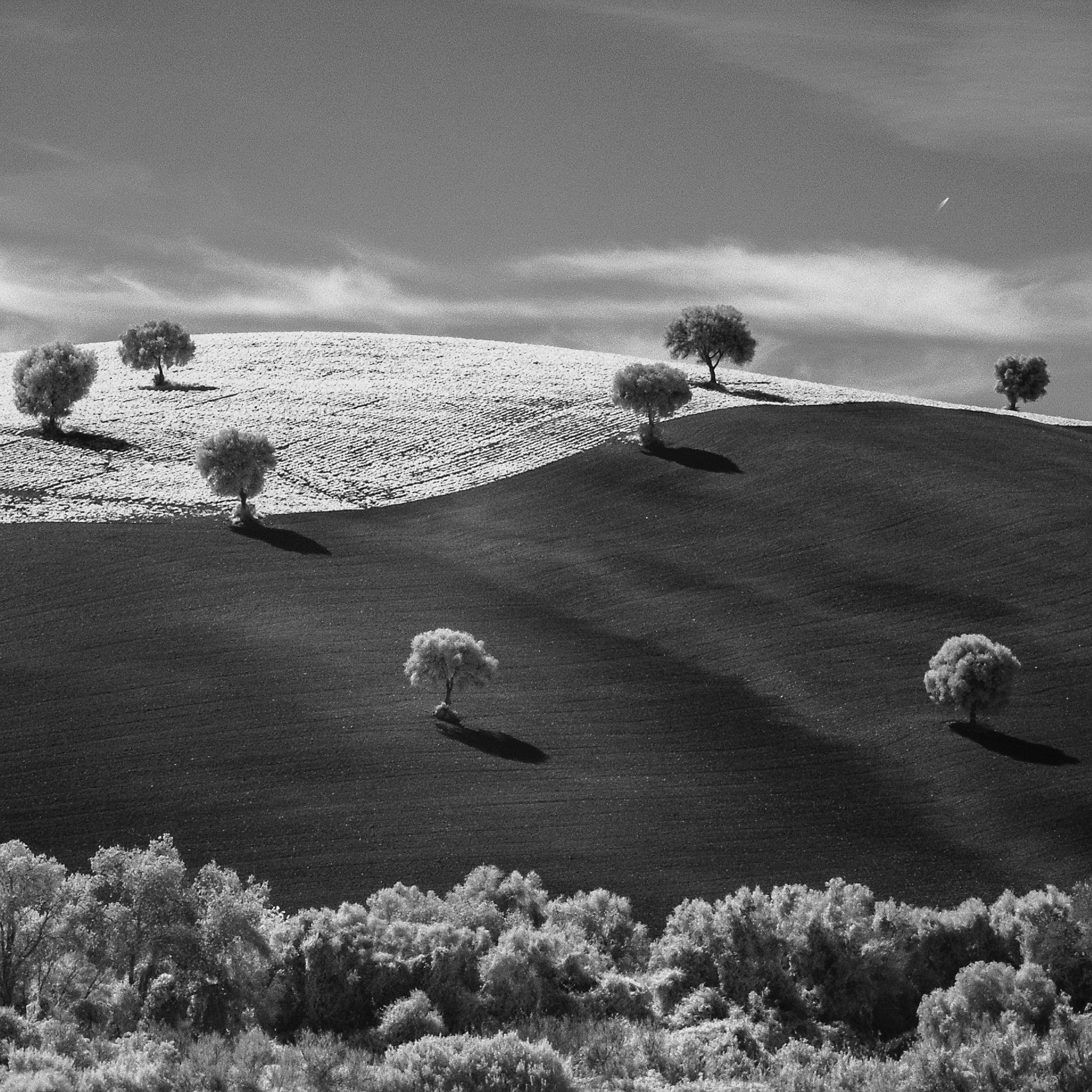 KONICA MINOLTA DiMAGE 7 sample photo. Yin and yang hill and trees, spain photography
