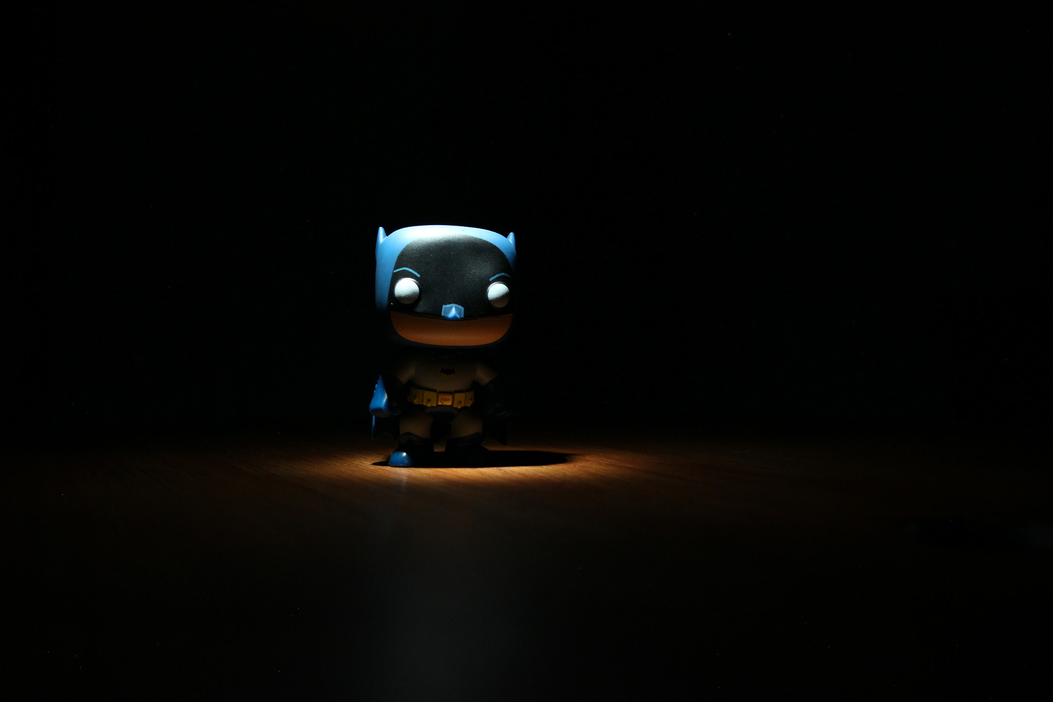Canon EOS 600D (Rebel EOS T3i / EOS Kiss X5) + Canon TS-E 90mm F2.8 Tilt-Shift sample photo. Batman photography