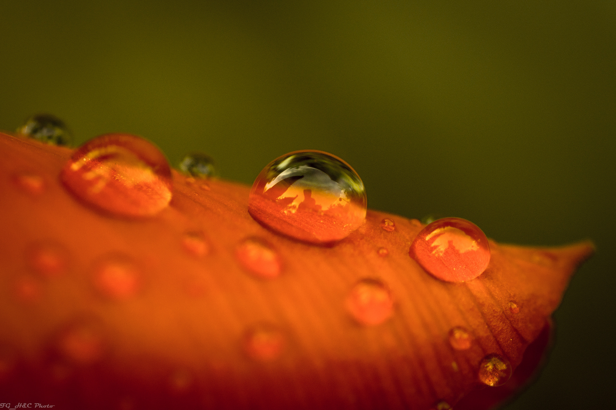 Canon EOS 70D + Canon EF 100mm F2.8 Macro USM sample photo. Droplets photography