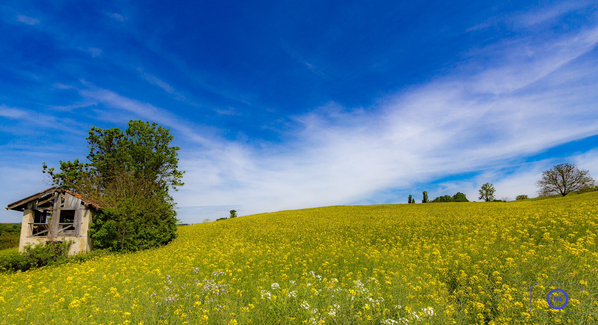 Canon EF-S 10-22mm F3.5-4.5 USM sample photo. Yellow field photography