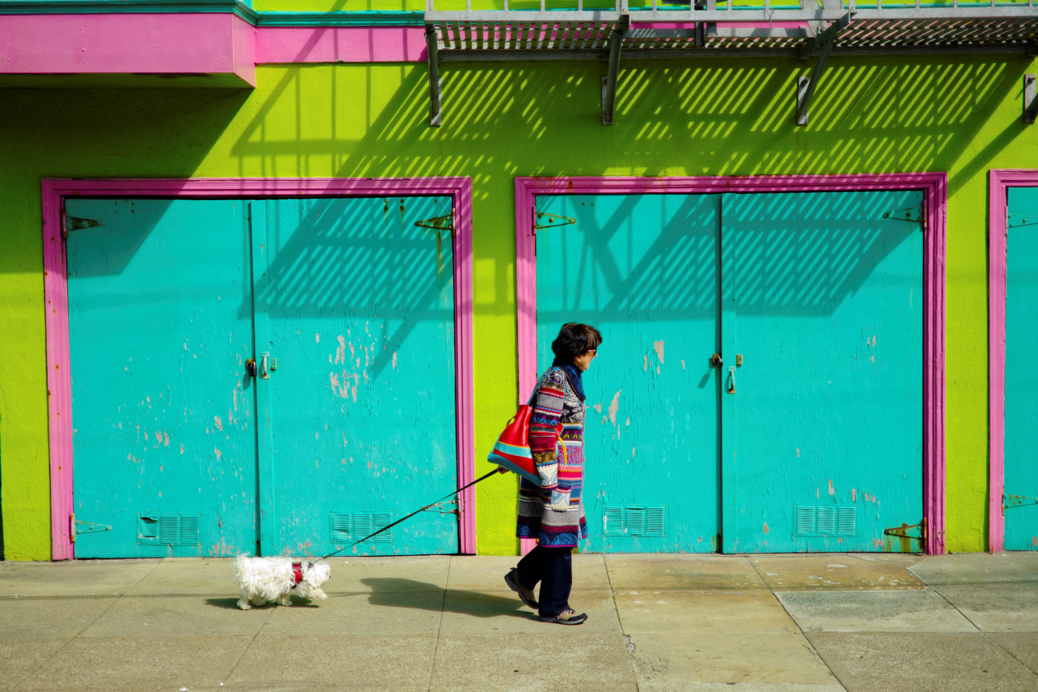 Fujifilm X-Pro2 + ZEISS Touit 32mm F1.8 sample photo. Too many colors photography