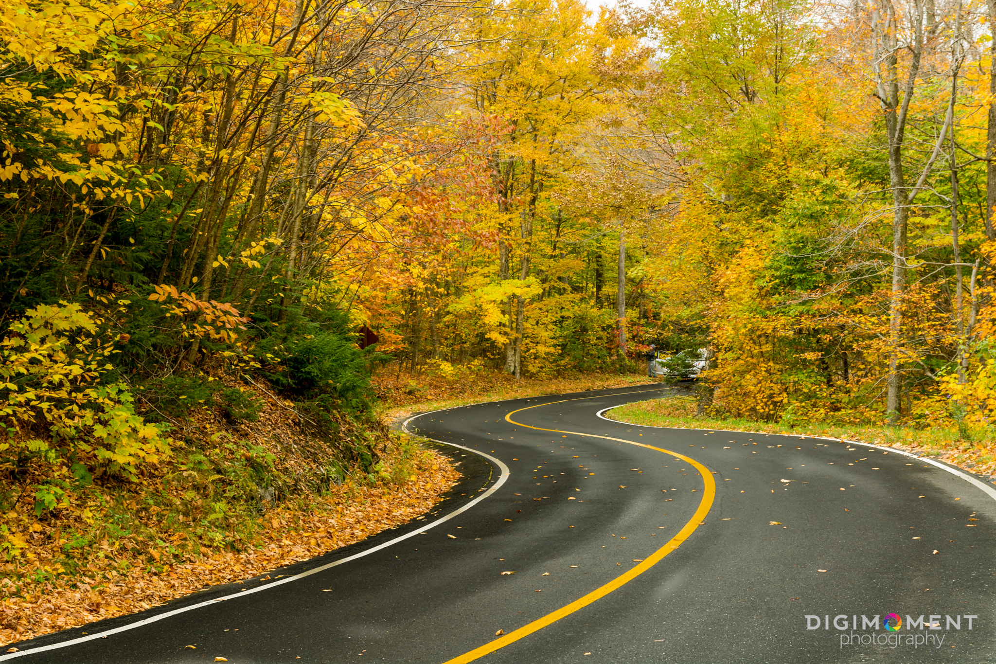 Sigma 17-70mm F2.8-4 DC Macro OS HSM | C sample photo. Road photography