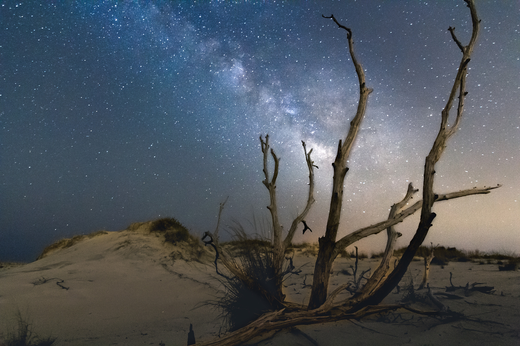 Canon EOS 550D (EOS Rebel T2i / EOS Kiss X4) sample photo. Back bay milky way photography