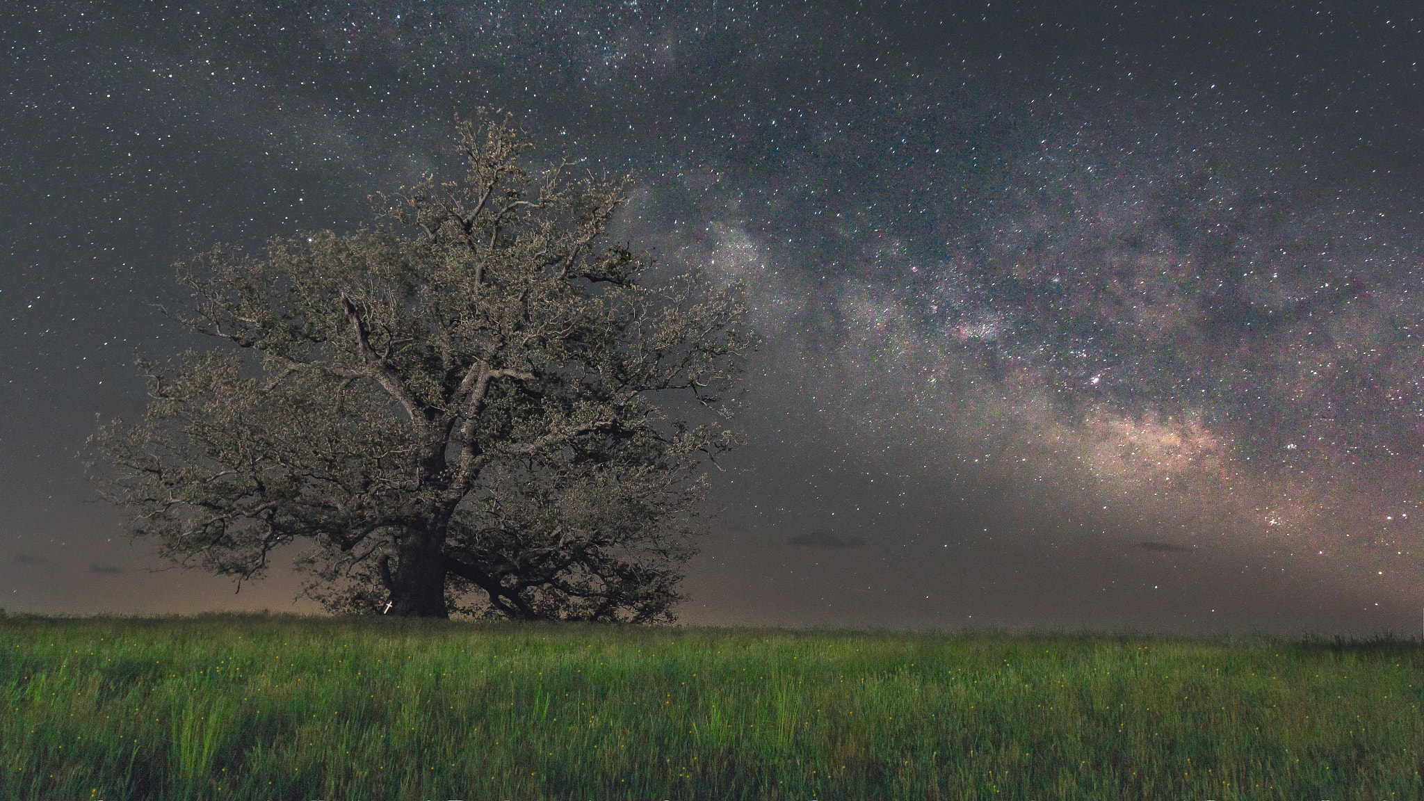 Canon EF 16-35mm F2.8L II USM sample photo. Oak ridge milky way photography