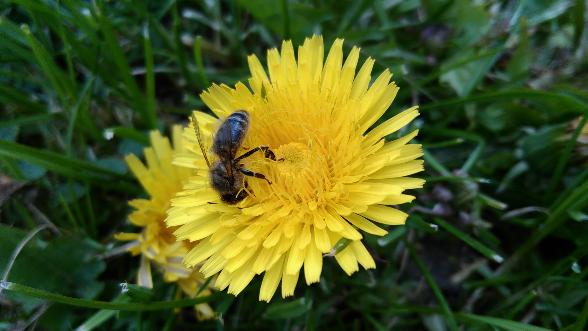 Lenovo S60-A sample photo. Img_20160507_114739.jpg photography