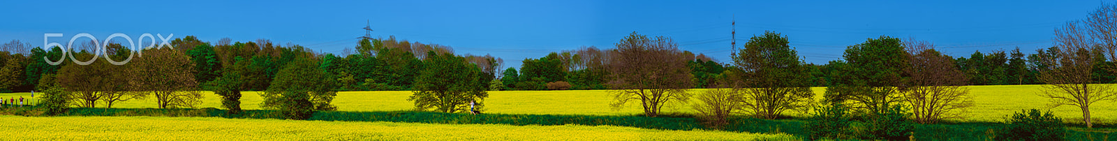 Sony a7 II + Minolta AF 135mm F2.8 sample photo. Querrenburg bochum photography