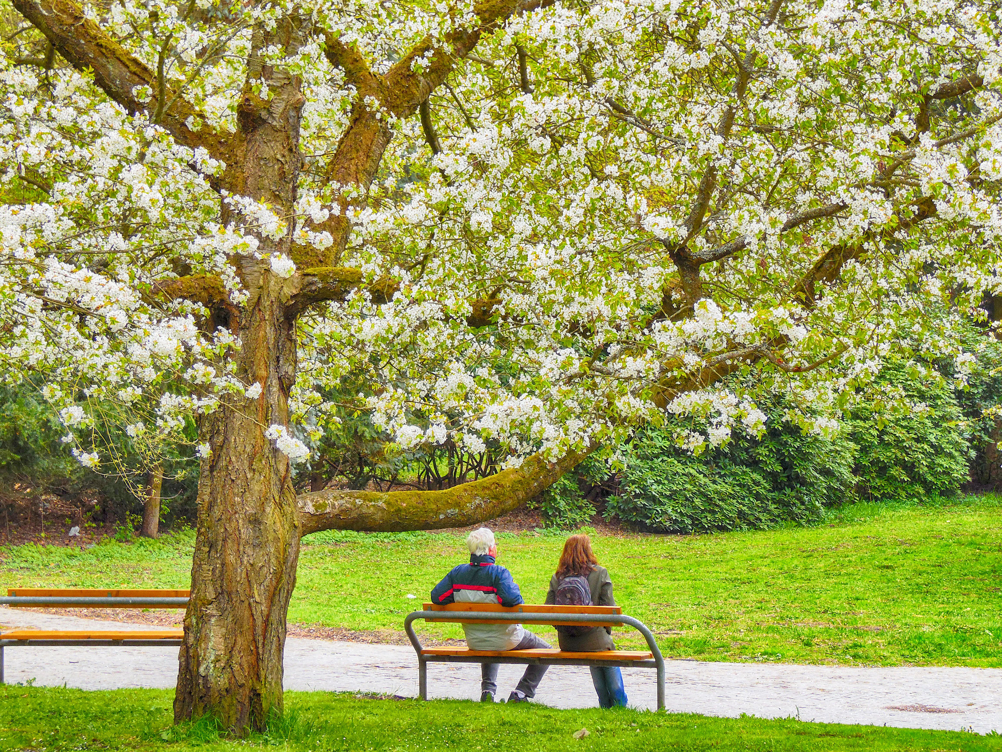 Samsung WB2200F sample photo. Karlovy vary photography