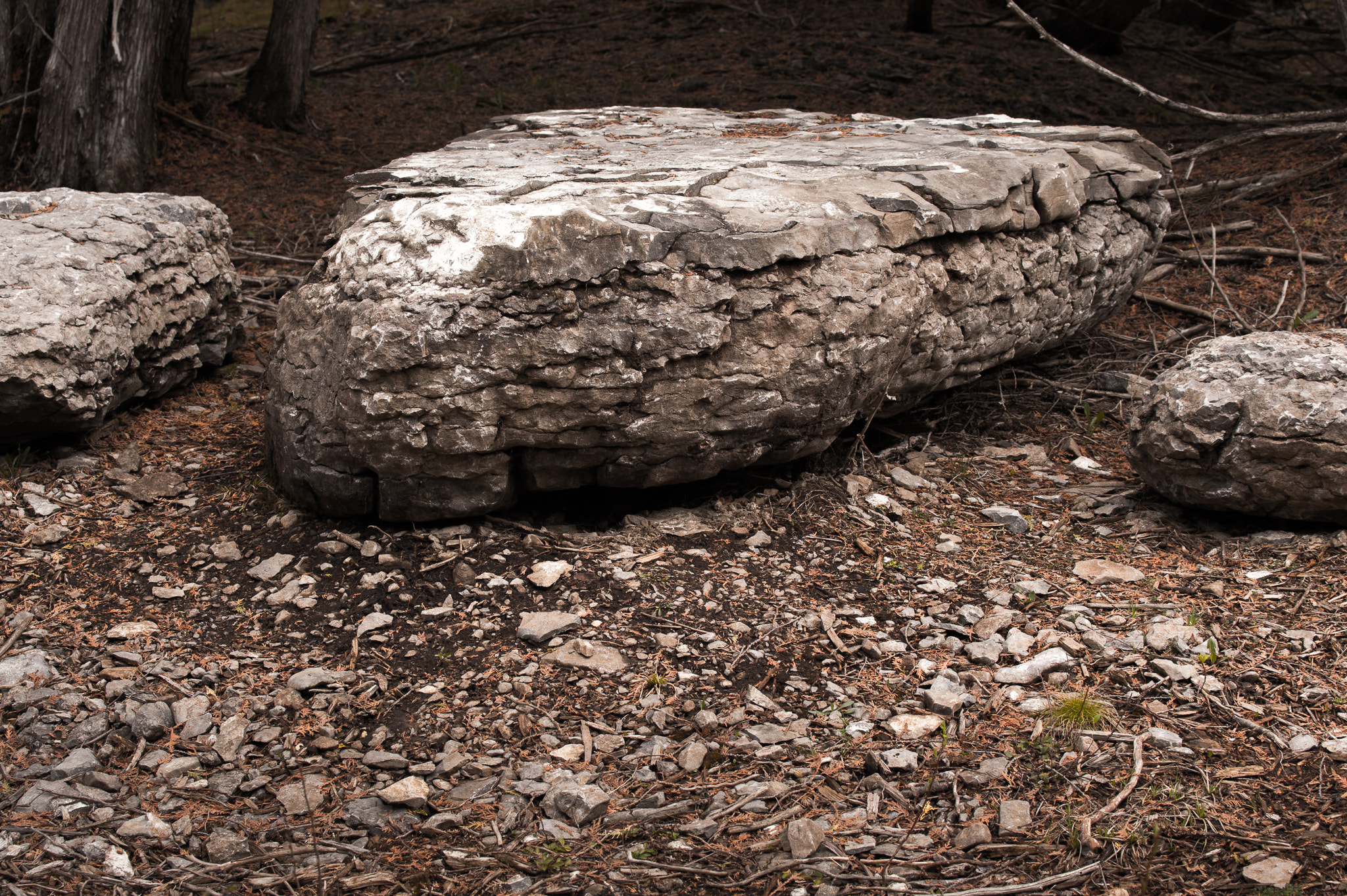 Nikon AF-S Nikkor 70-200mm F4G ED VR sample photo. Stony swamp photography