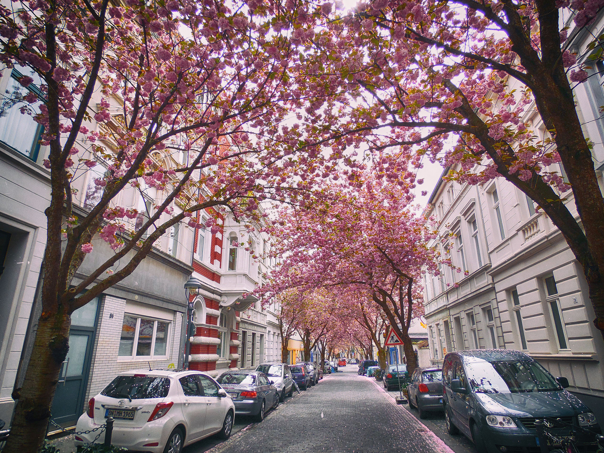 Samsung WB2200F sample photo. Bonn photography