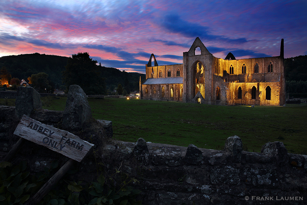 Canon EOS 5DS + Canon TS-E 17mm F4L Tilt-Shift sample photo. Uk 13 - wales, tintern abbey photography